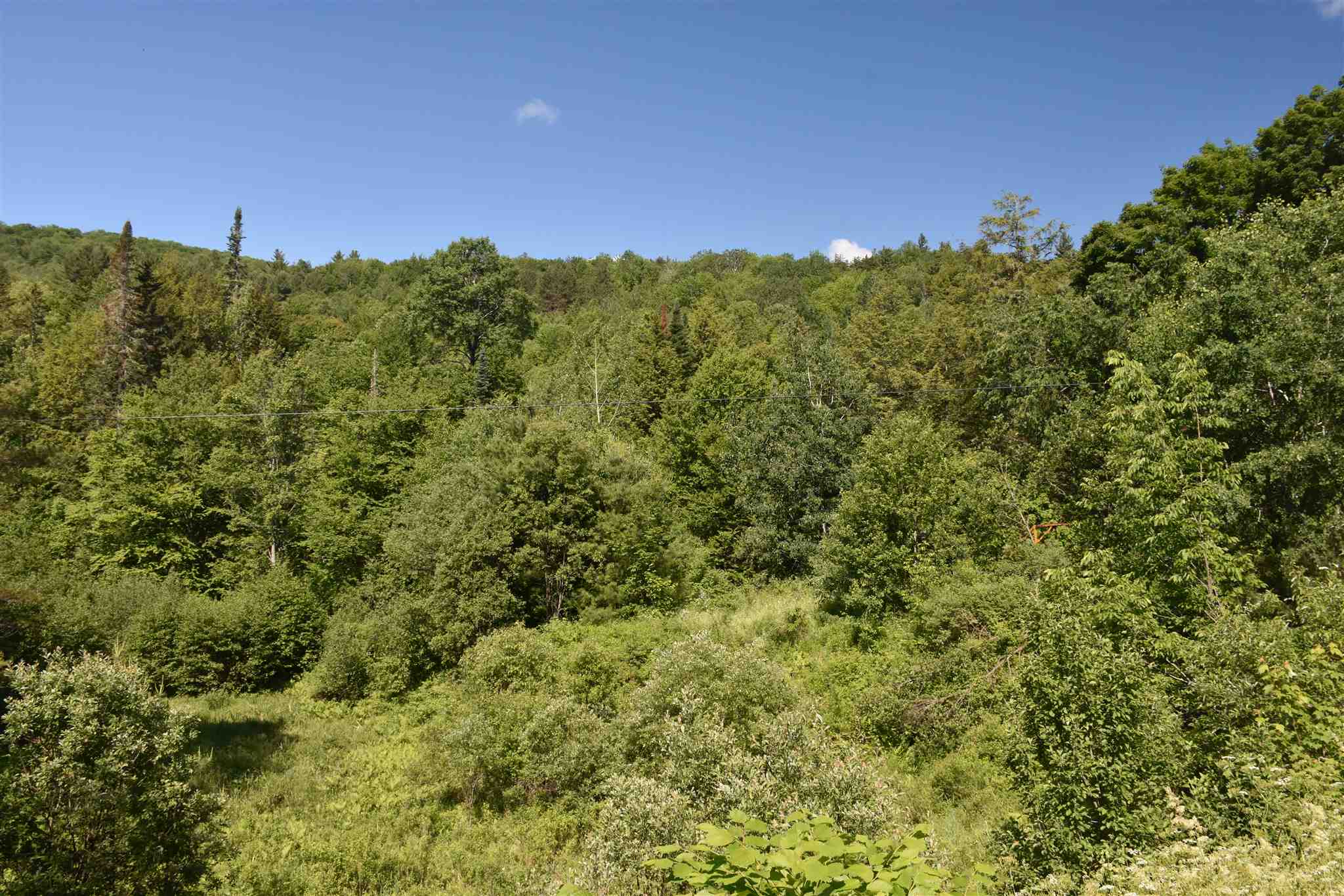 0 Messier Hill Roxbury, VT 05669 - Photo 2 of 37