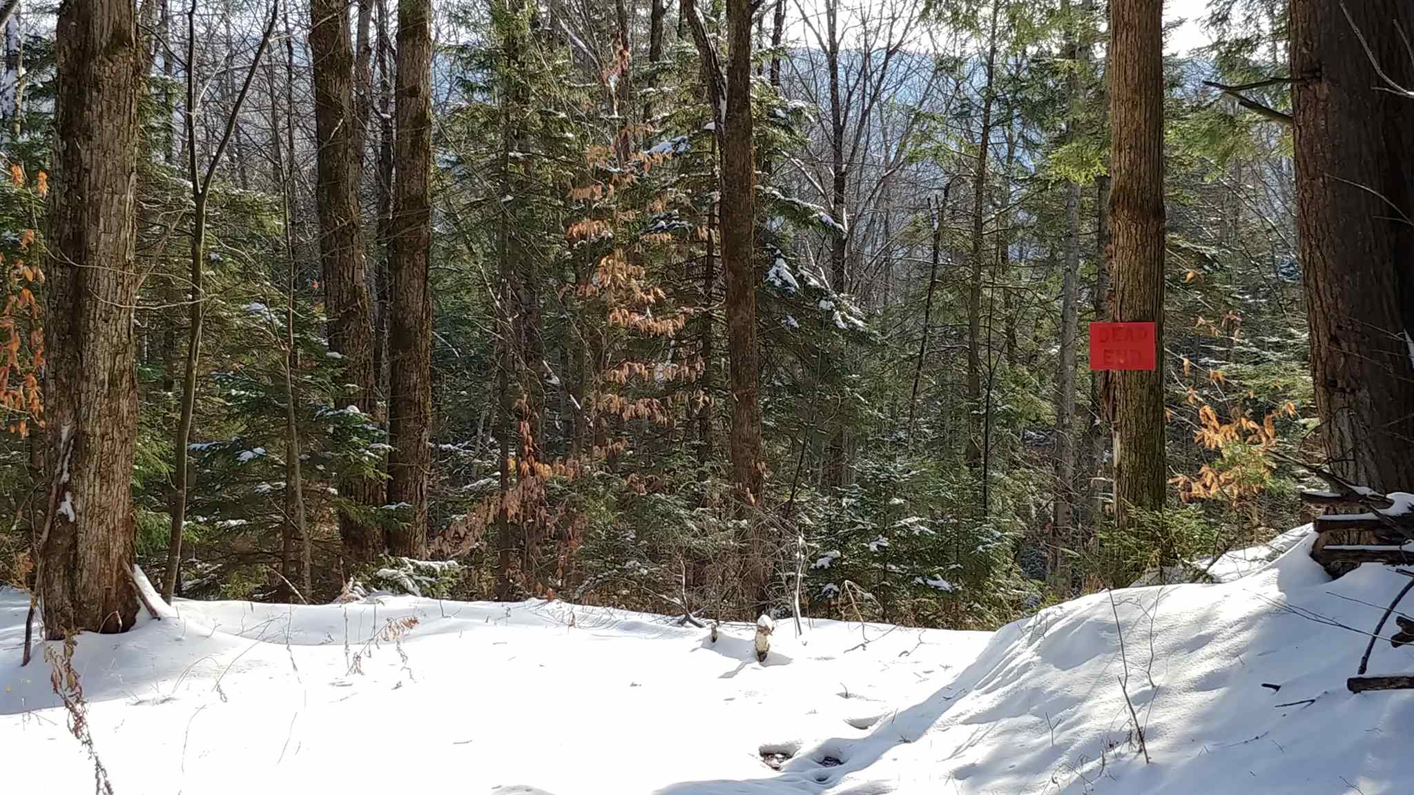 0 Messier Hill Roxbury, VT 05669 - Photo 13 of 37