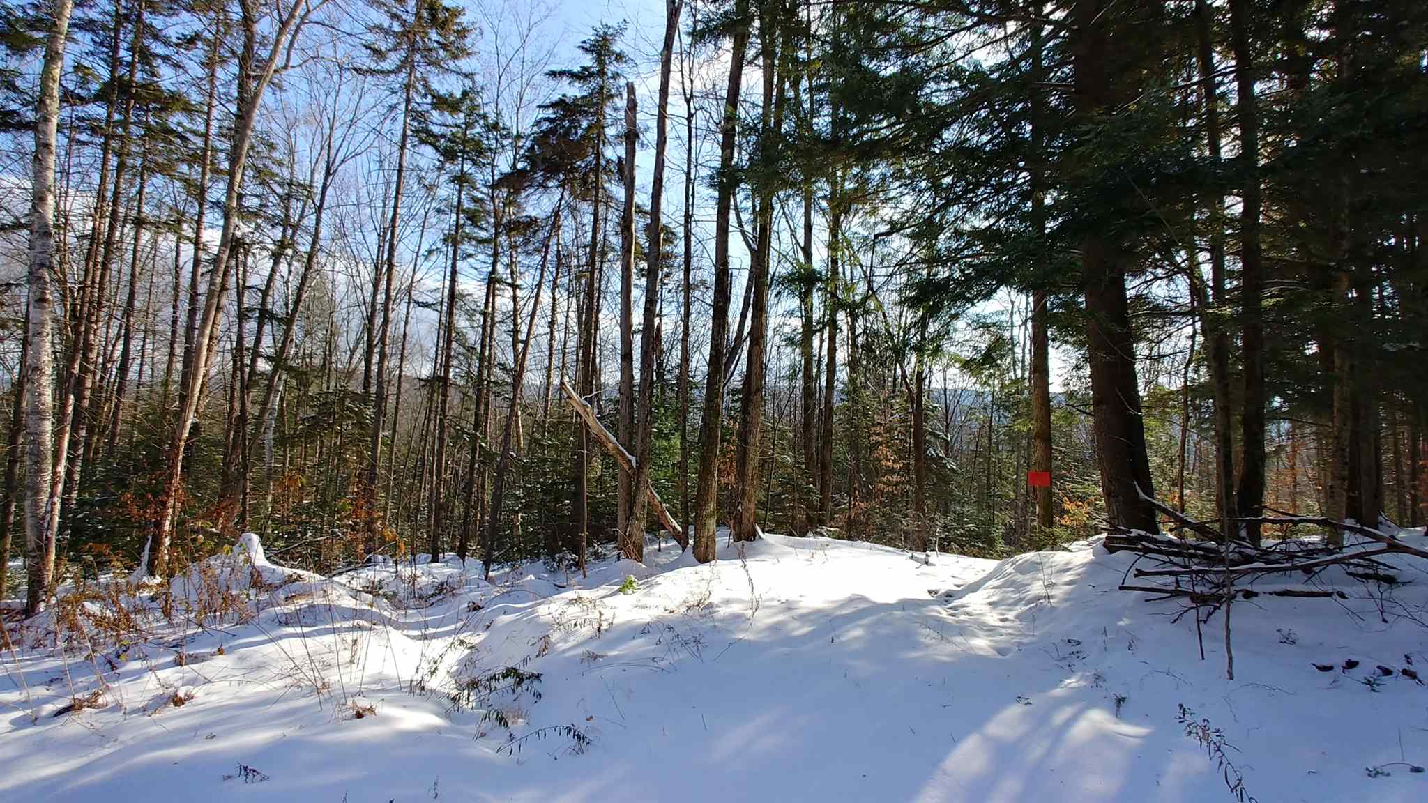 0 Messier Hill Roxbury, VT 05669 - Photo 14 of 37
