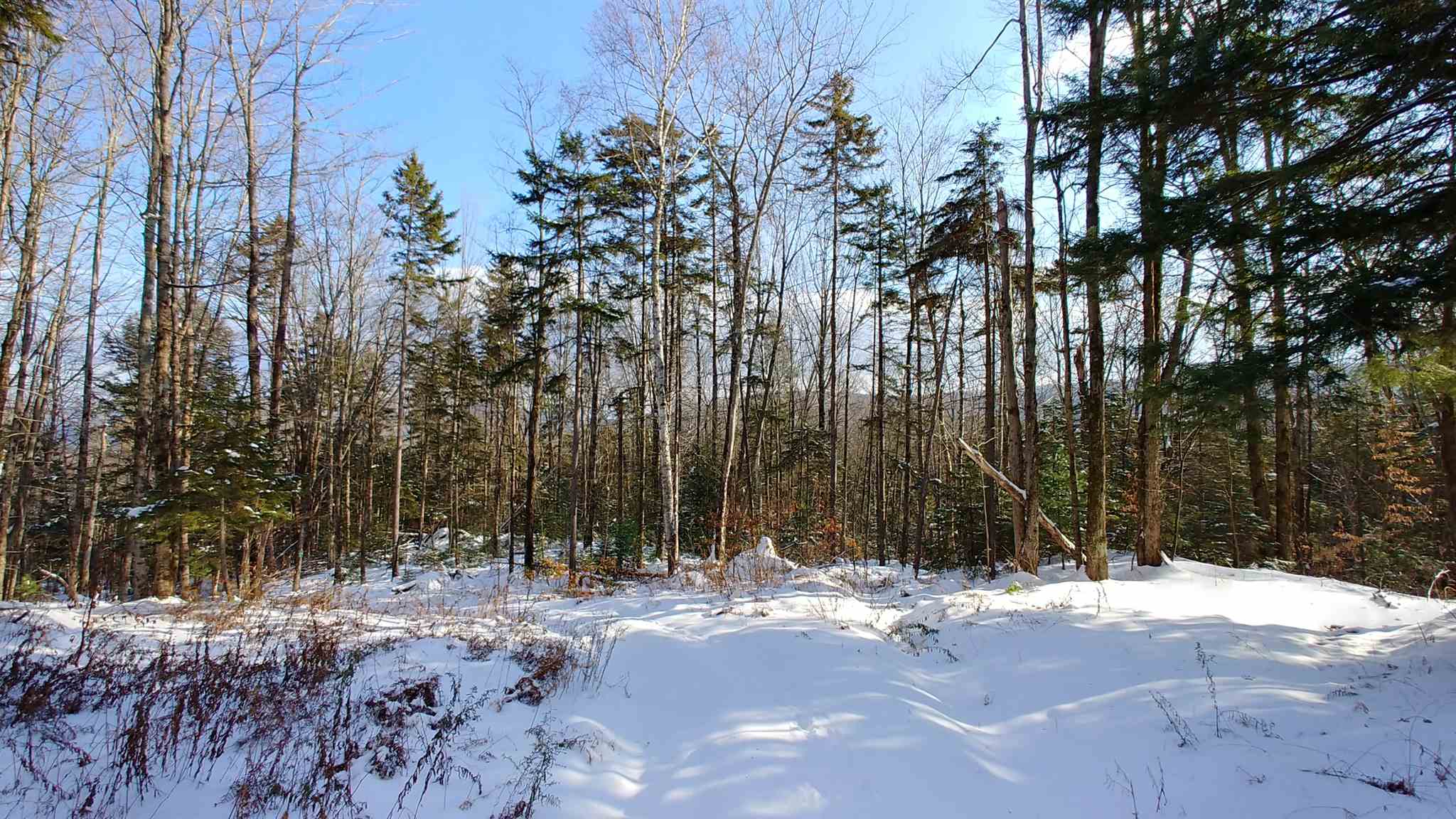 0 Messier Hill Roxbury, VT 05669 - Photo 15 of 37