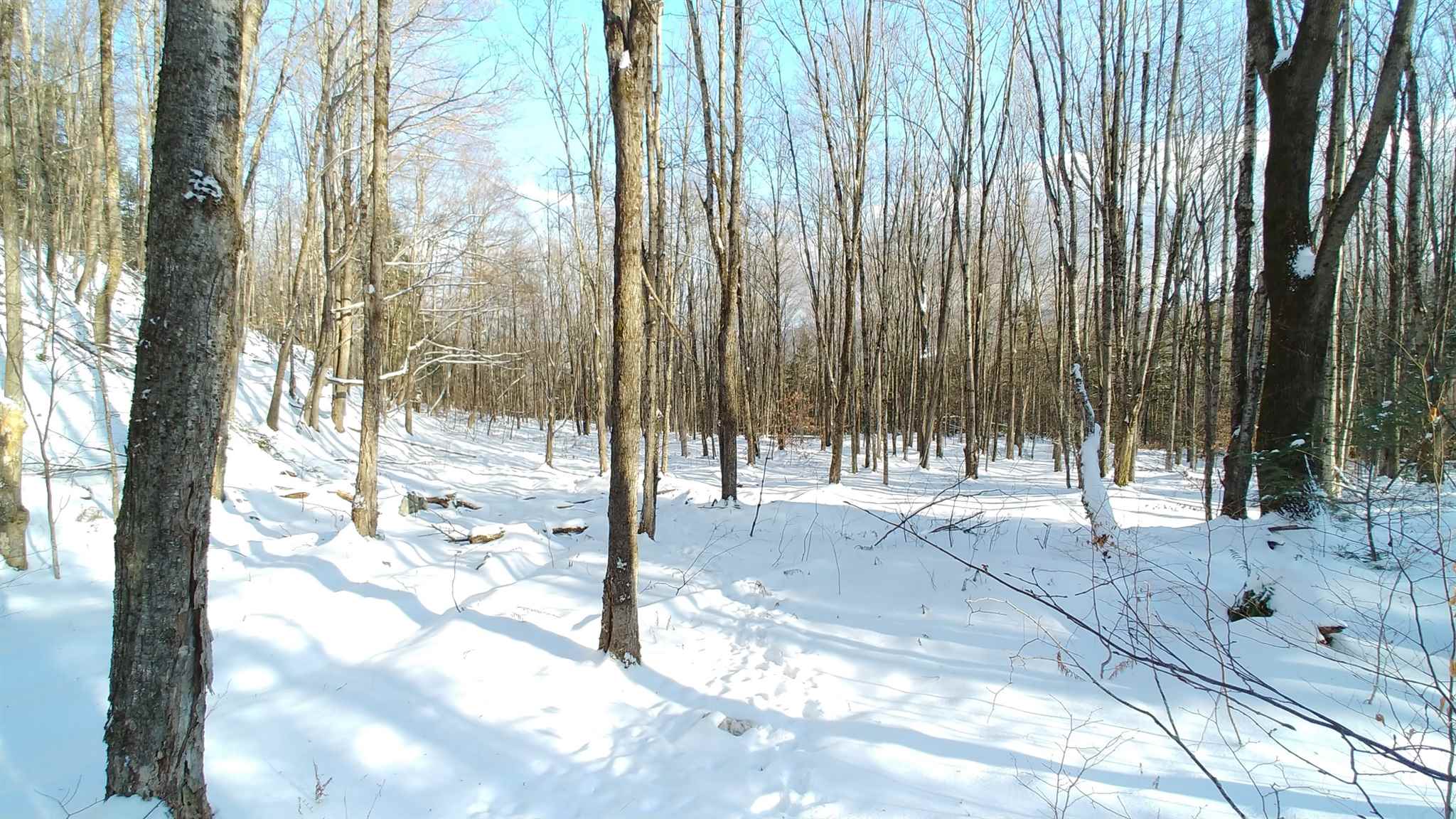 0 Messier Hill Roxbury, VT 05669 - Photo 17 of 37