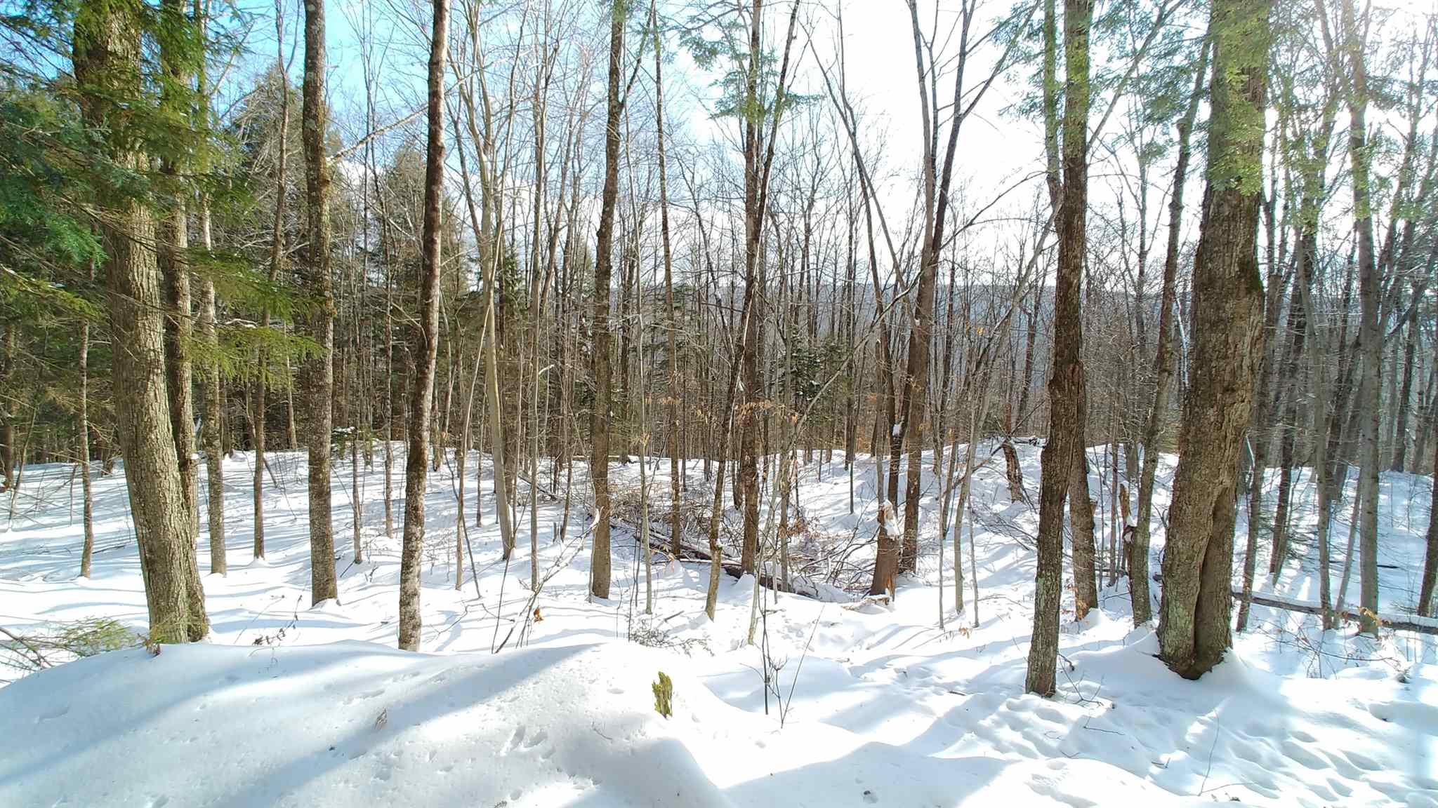 0 Messier Hill Roxbury, VT 05669 - Photo 21 of 37