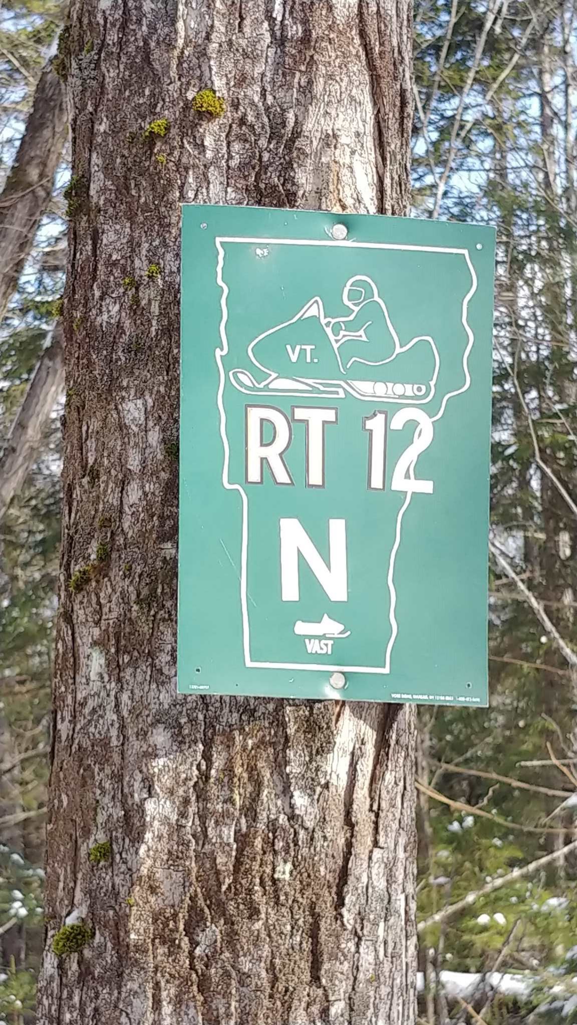 0 Messier Hill Roxbury, VT 05669 - Photo 26 of 37