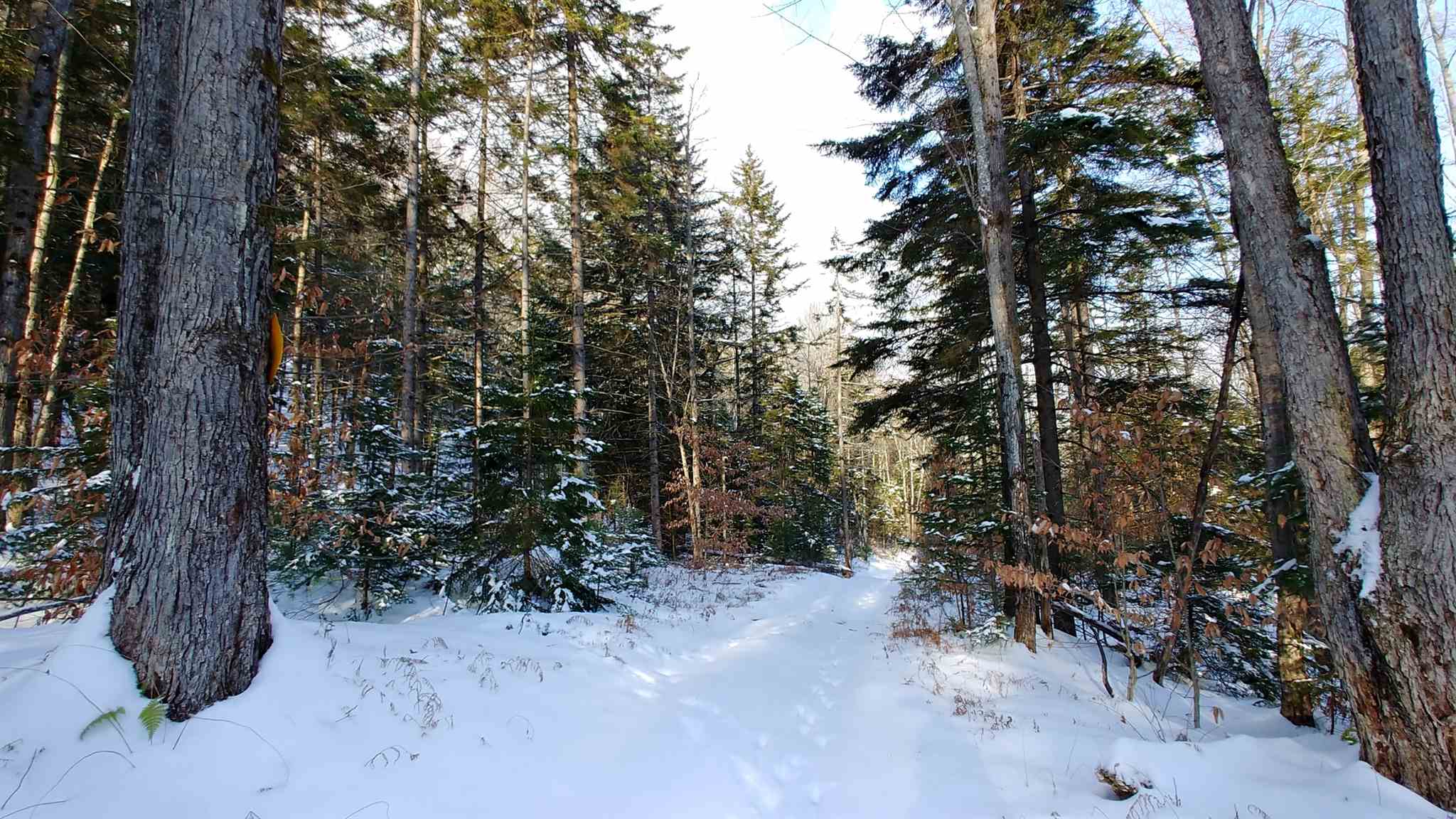 0 Messier Hill Roxbury, VT 05669 - Photo 27 of 37