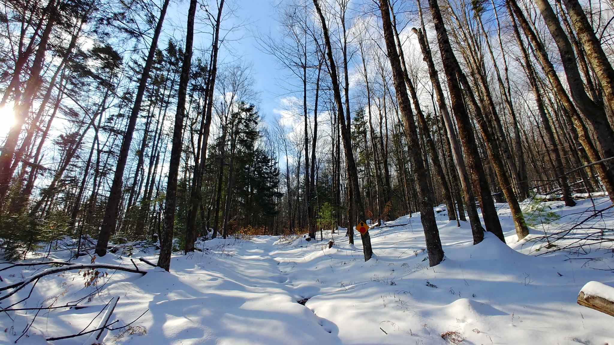 0 Messier Hill Roxbury, VT 05669 - Photo 28 of 37