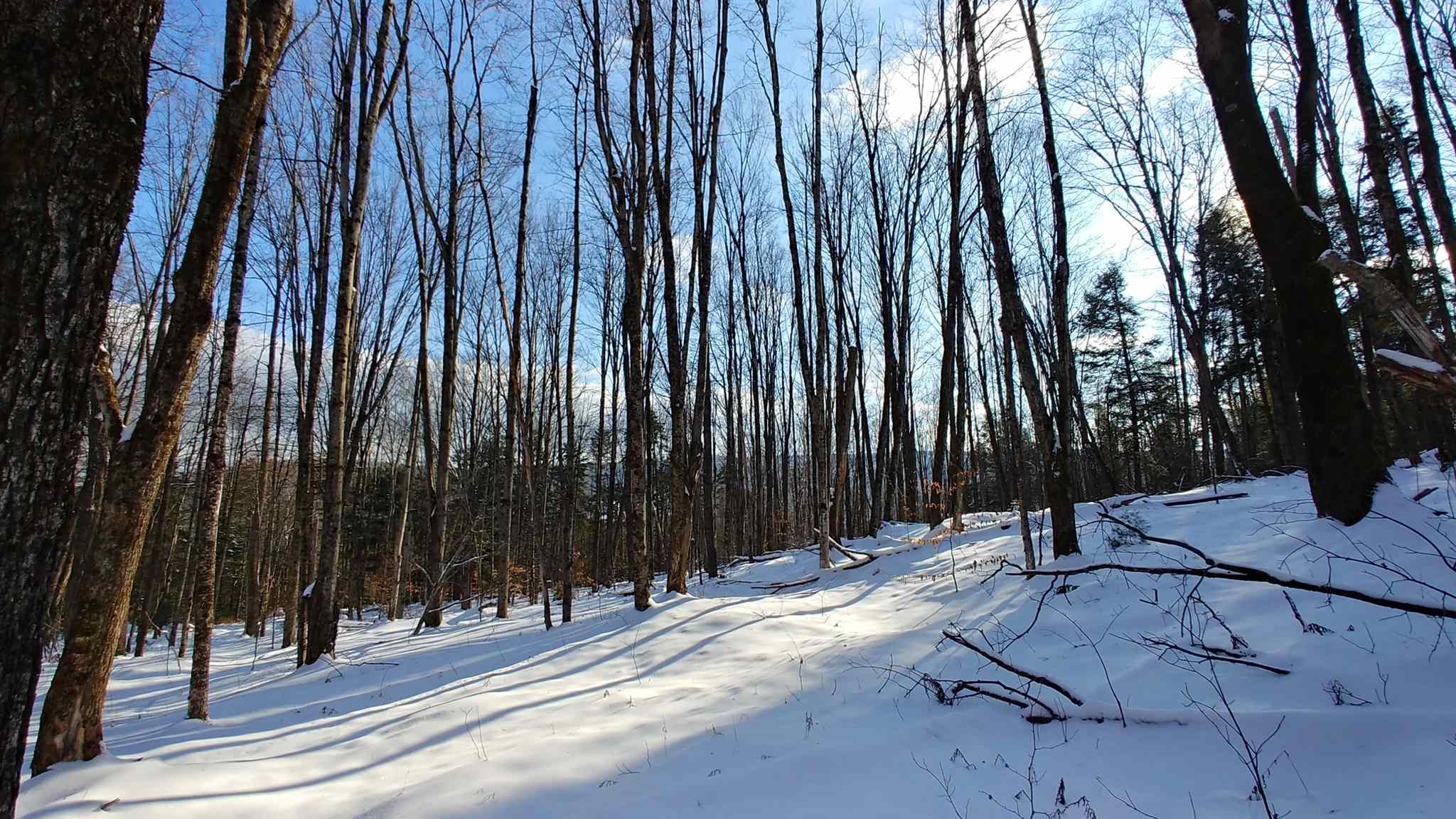0 Messier Hill Roxbury, VT 05669 - Photo 29 of 37