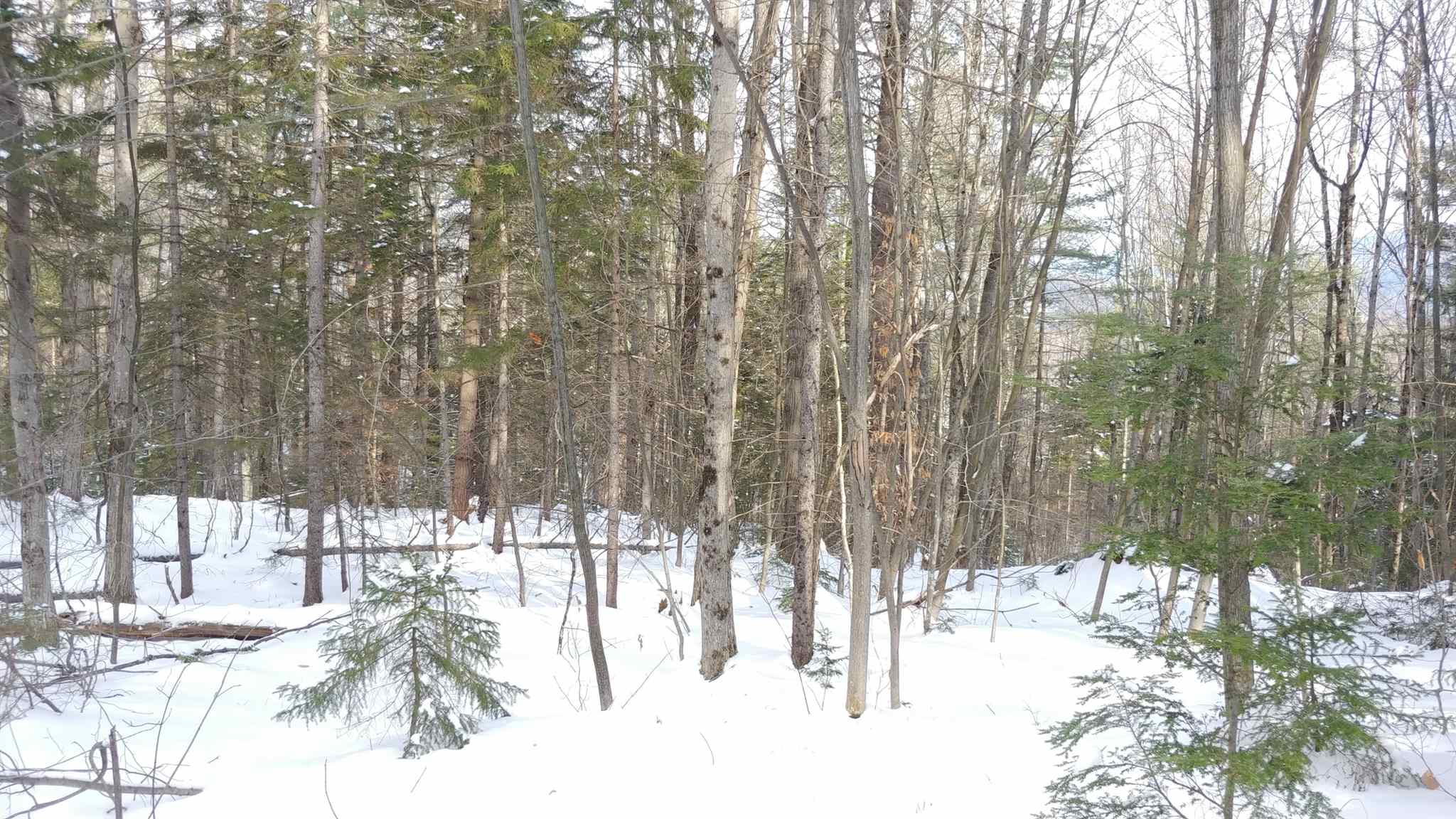 0 Messier Hill Roxbury, VT 05669 - Photo 35 of 37