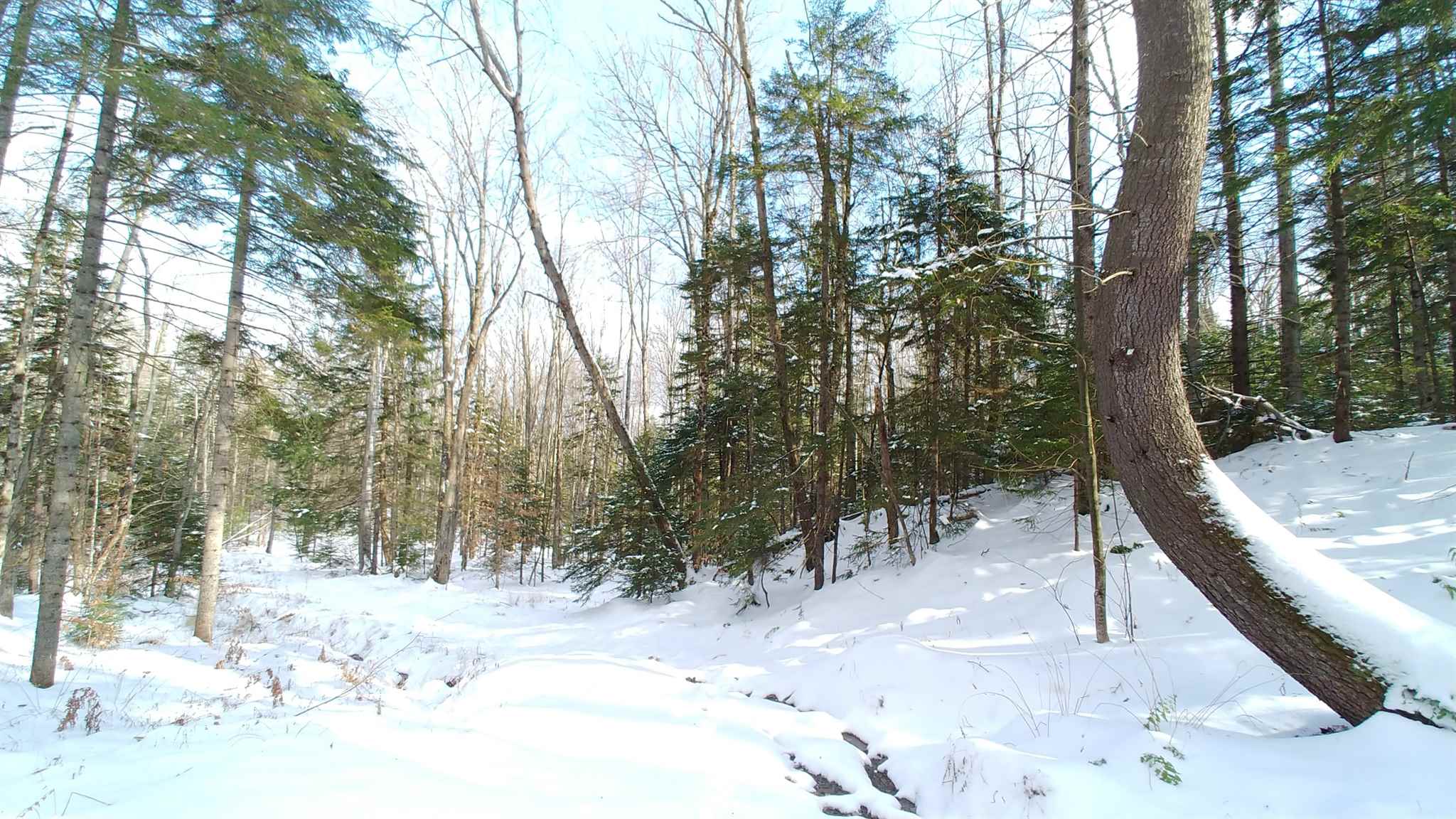 0 Messier Hill Roxbury, VT 05669 - Photo 36 of 37