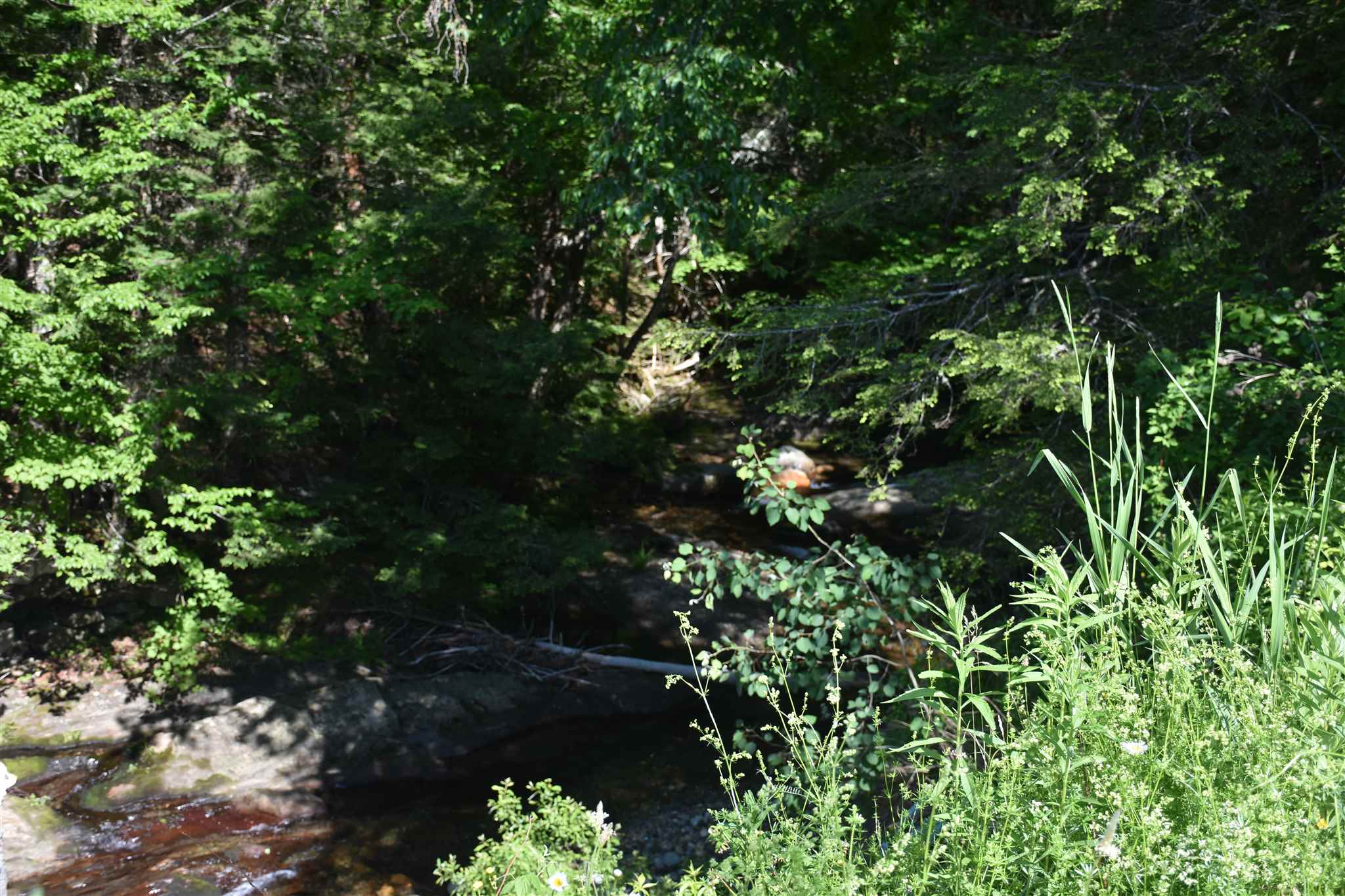 0 Messier Hill Roxbury, VT 05669 - Photo 7 of 37