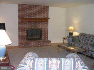 3014 Regency Drive Sinking Spring, PA 19608 - Photo 4 of 6 a living room with furniture and a fireplace