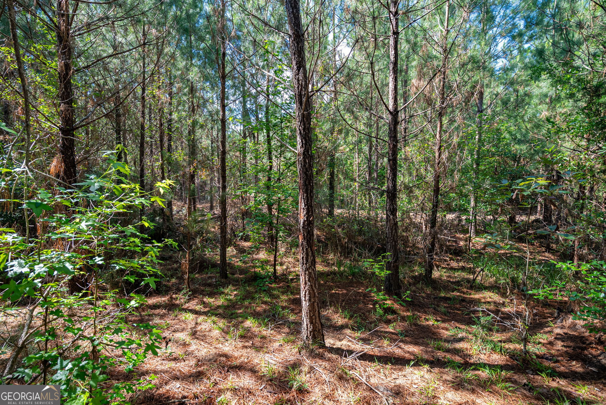 2 Brewer's Bridge Road Elberton, GA 30635 - Photo 2 of 24