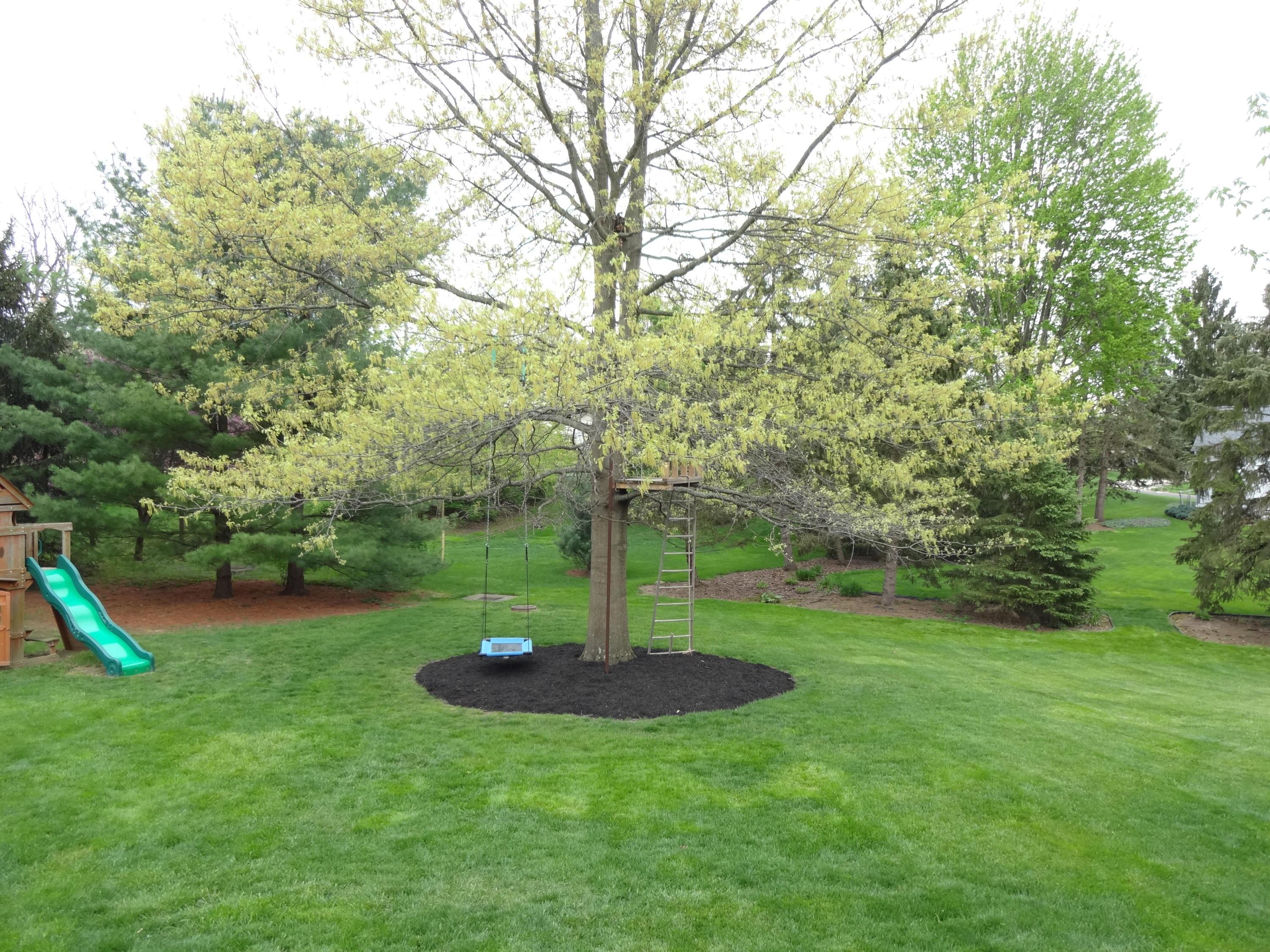 1093 Ridge Place Columbus, OH 43230 - Photo 59 of 70 Gallery Image 59