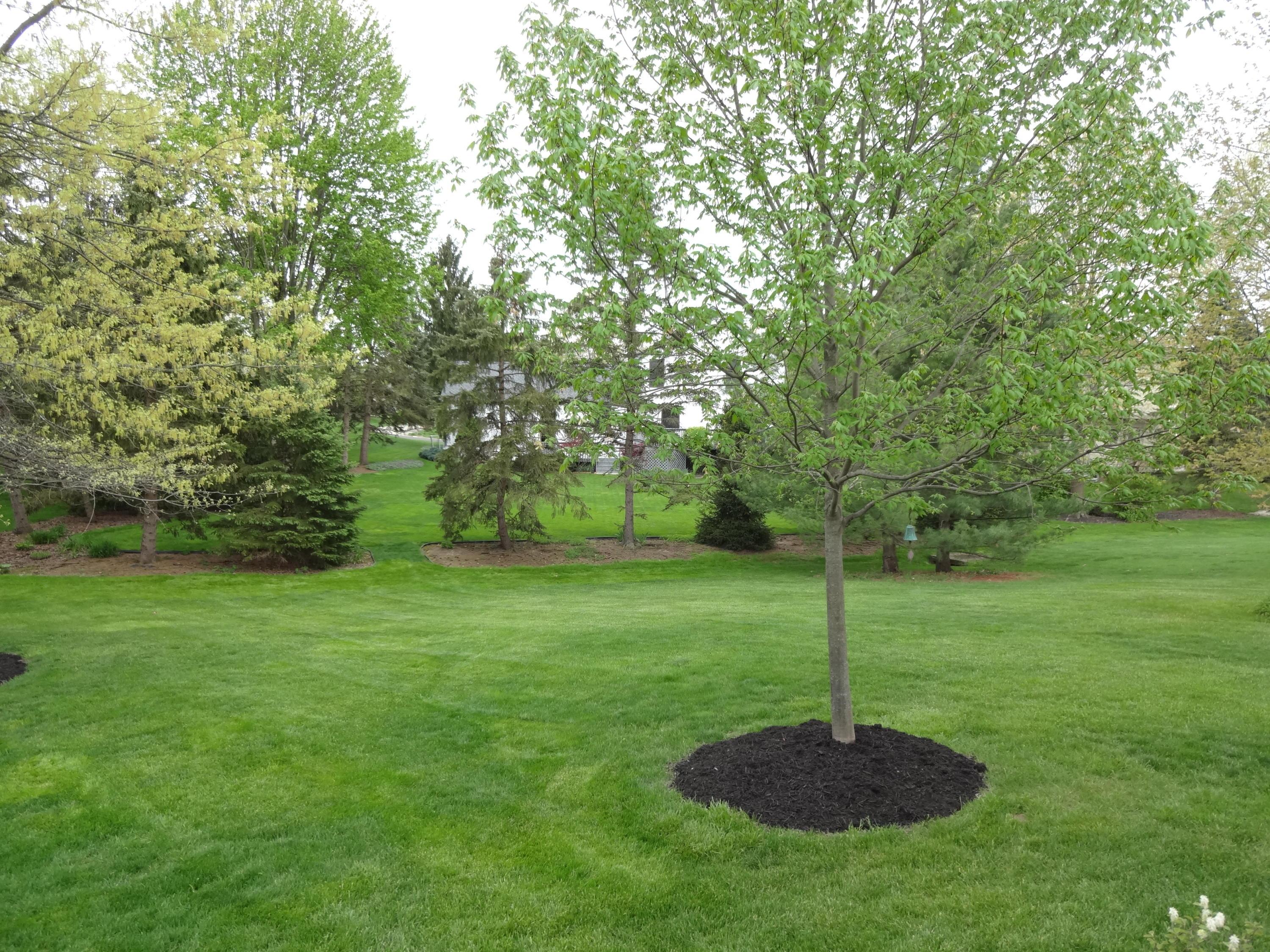 1093 Ridge Place Columbus, OH 43230 - Photo 60 of 70 Gallery Image 60