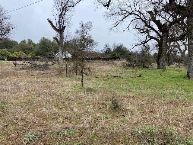 0 High School Road Oakhurst, CA 93644 - Photo 3 of 3