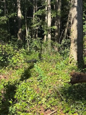 $268,200 | 0 Rita Ridge, Unit LOT 6, Jefferson, GA 30549