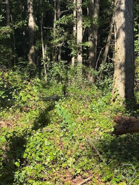 0 Rita Ridge, Unit LOT 6 Jefferson, GA 30549 - Photo 1 of 1 Lot 6