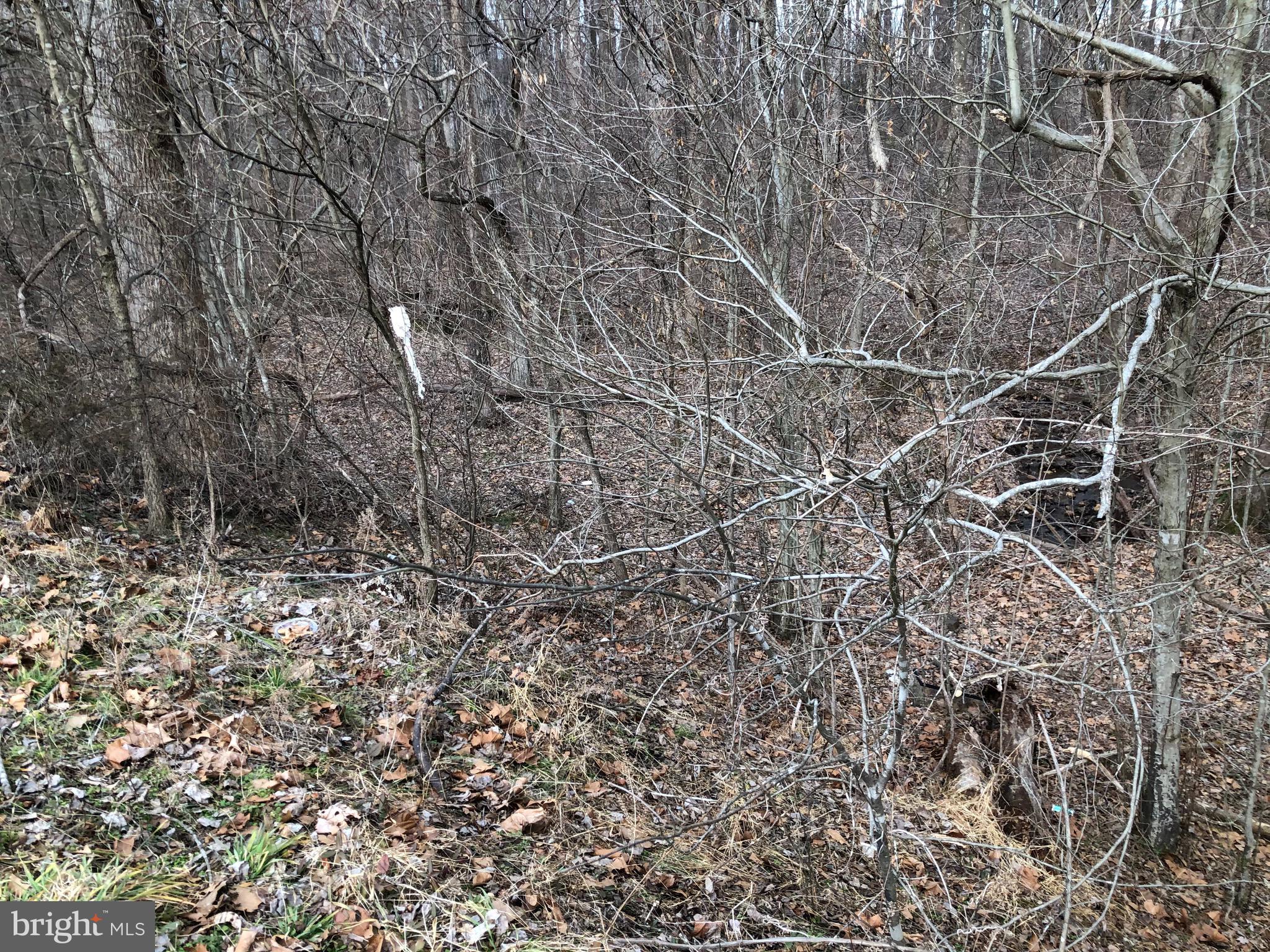 Lot 1 Alum Springs Road Culpeper, VA 22701 - Photo 1 of 3 Gallery Image 1