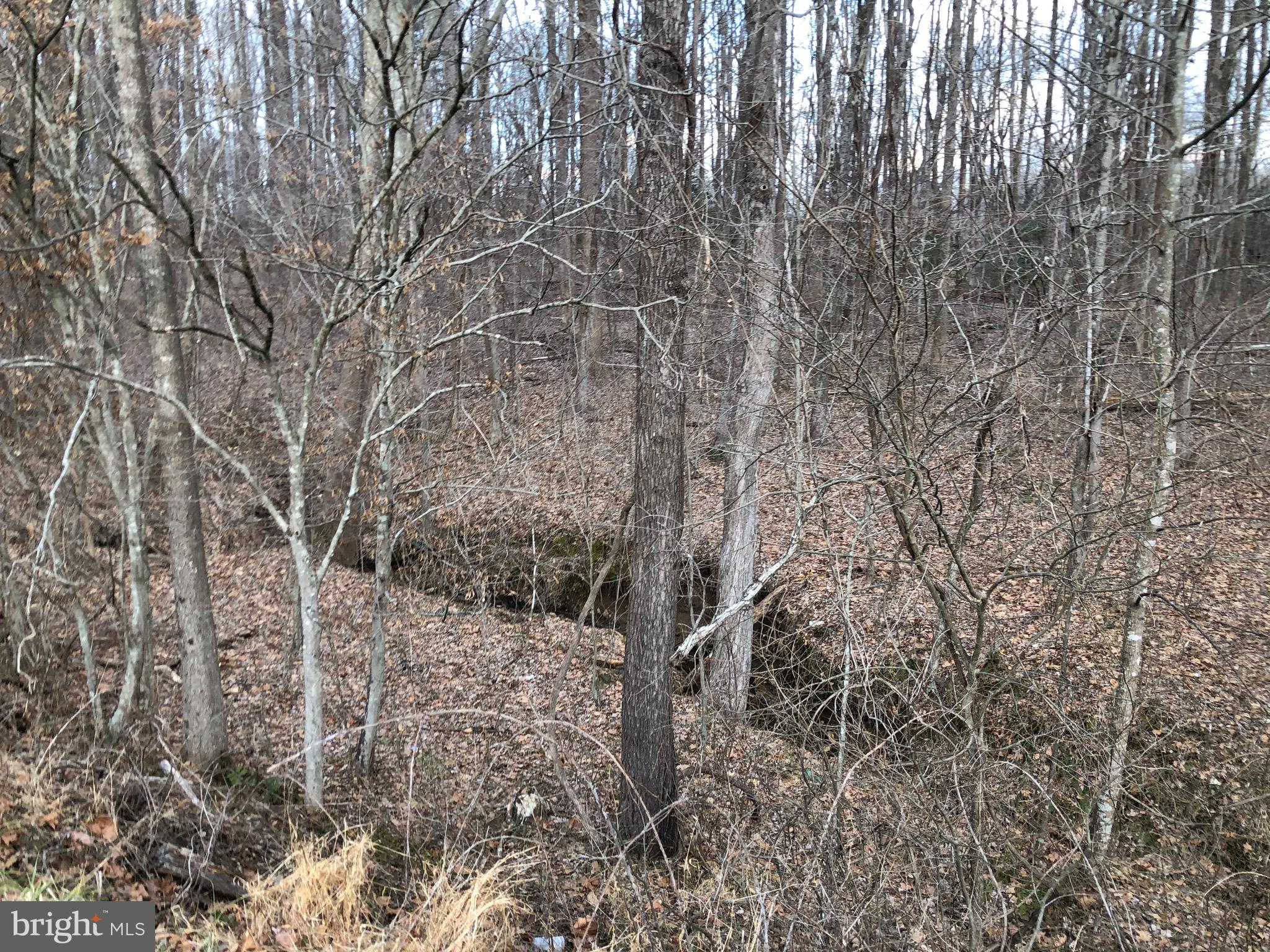 Lot 1 Alum Springs Road Culpeper, VA 22701 - Photo 2 of 3 Gallery Image 2