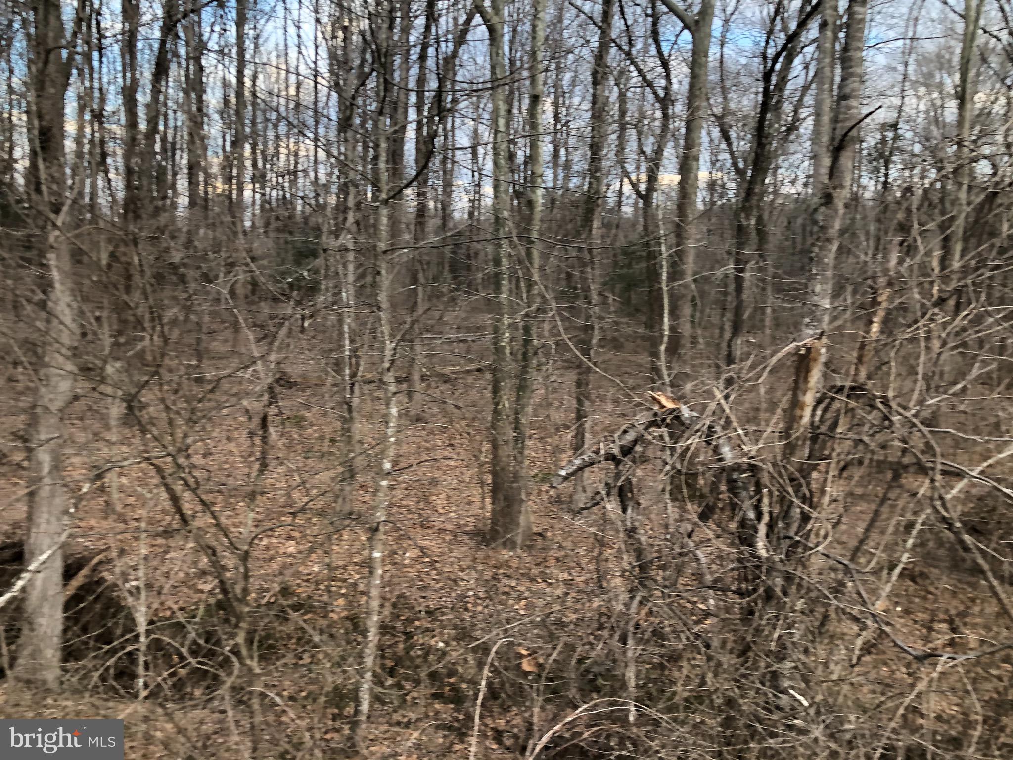 Lot 1 Alum Springs Road Culpeper, VA 22701 - Photo 3 of 3 Gallery Image 3