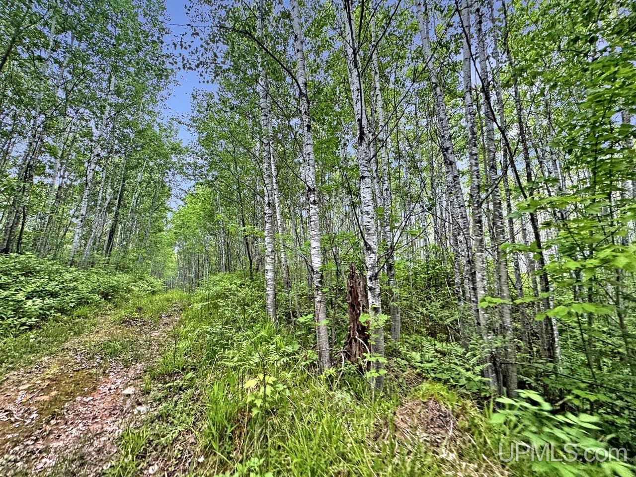 730 Premo Creek Road Crystal Falls, MI 49920 - Photo 46 of 91