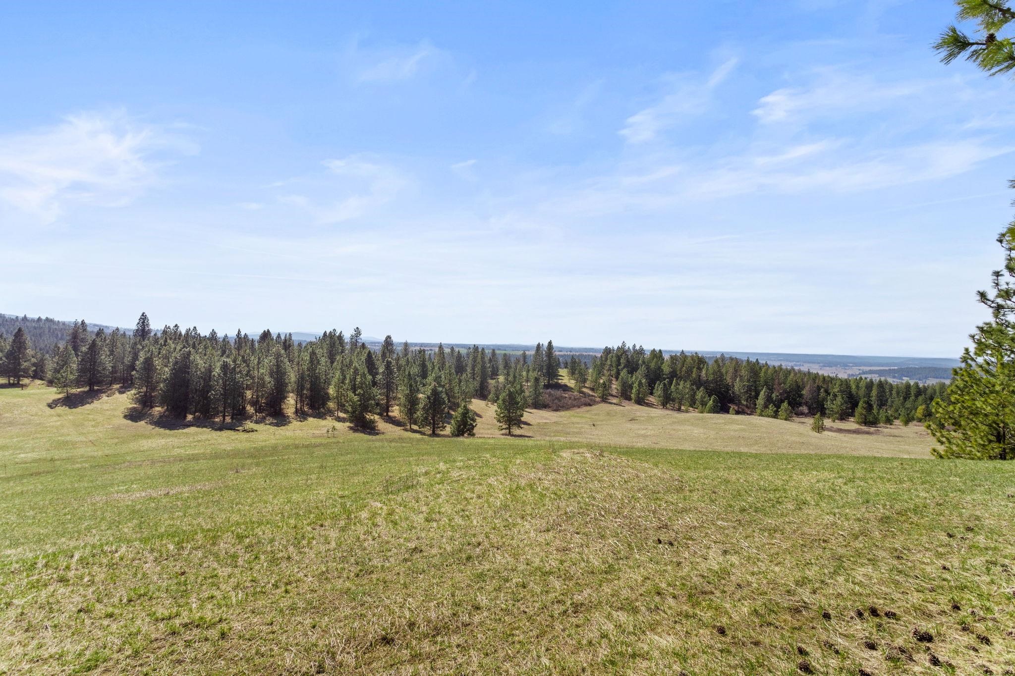 15809 North Scribner Branch Road Spokane, WA 99217 - Photo 16 of 20 Gallery Image 16
