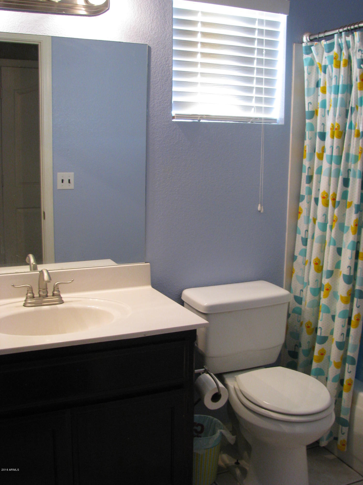 3934 East Decatur Street Mesa, AZ 85205 - Photo 17 of 21 014