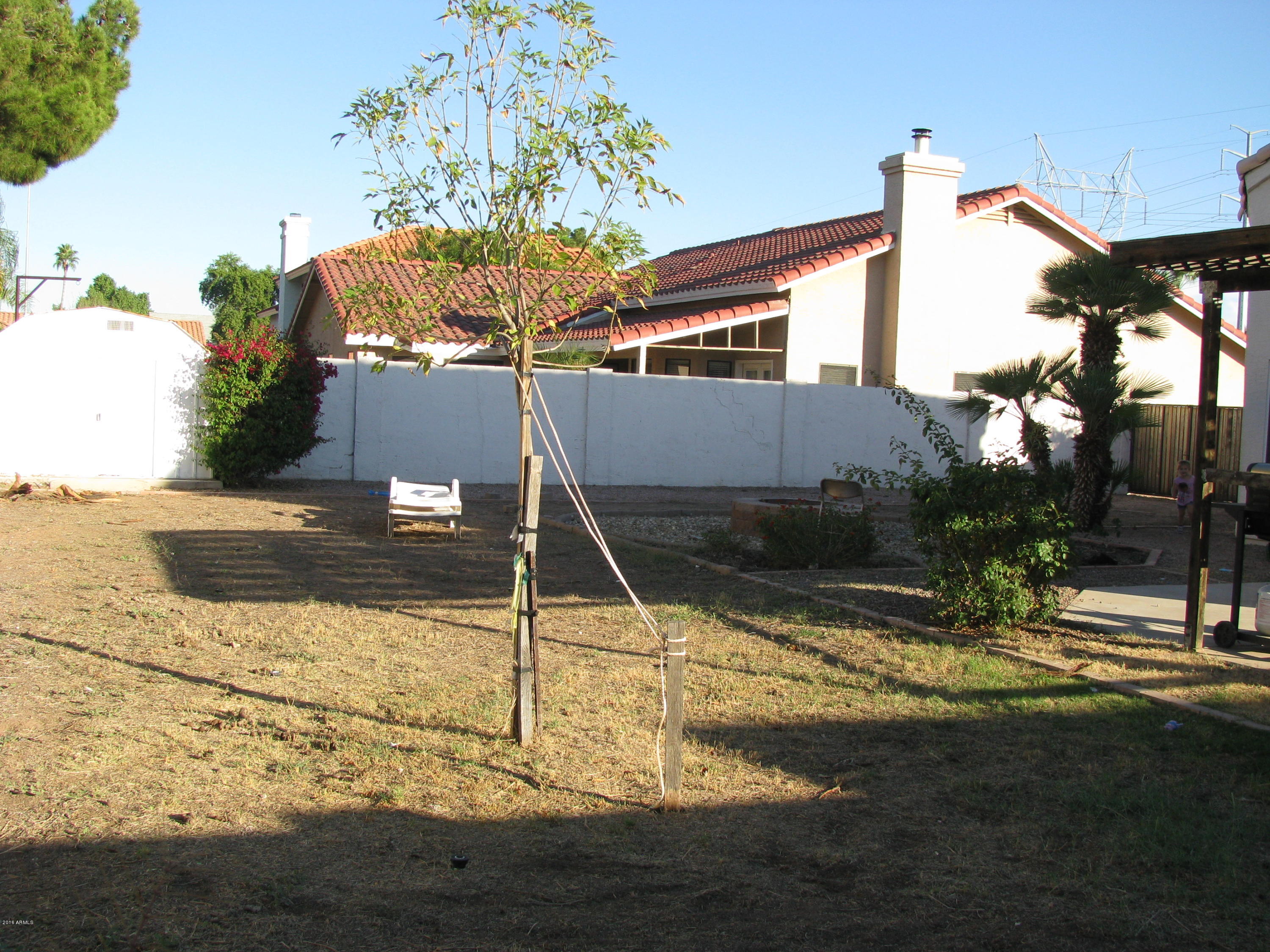 3934 East Decatur Street Mesa, AZ 85205 - Photo 19 of 21 010