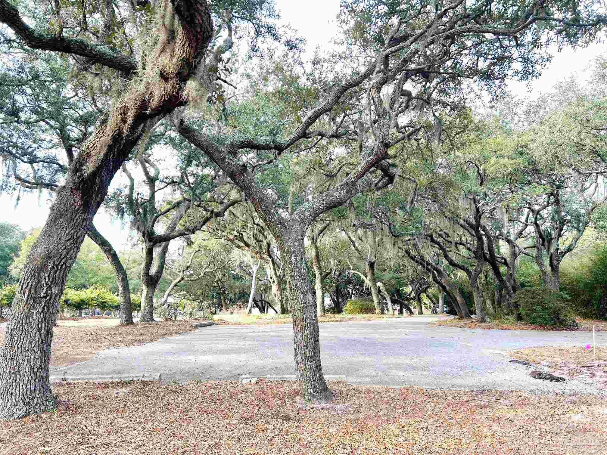 14395 Innerarity Point Road Pensacola, FL 32507 - Photo 21 of 24