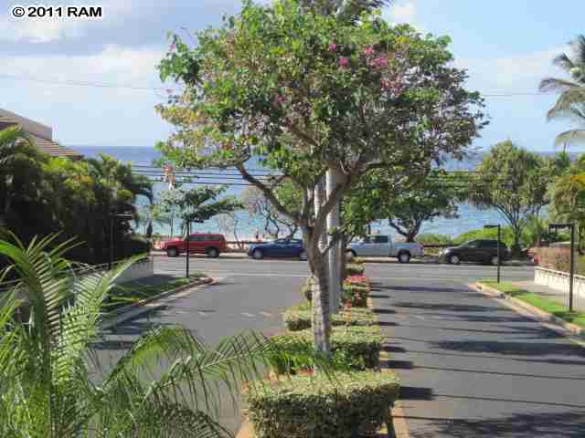 2575 South Kihei Road, Unit G307 Kihei, HI 96753 - Photo 18 of 25 a park view with large trees