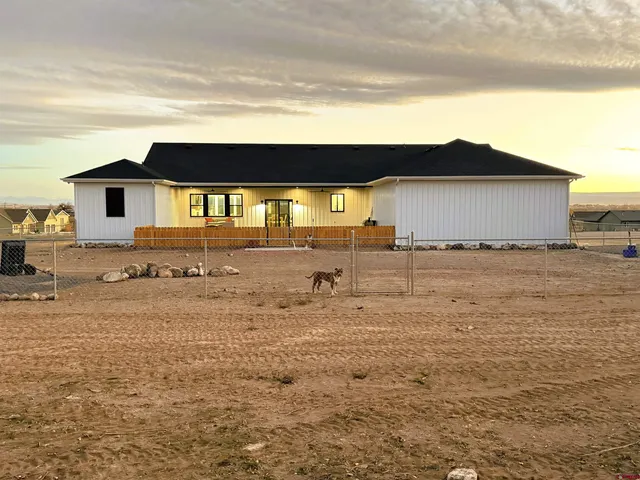 a view of a backyard with plants and a patio