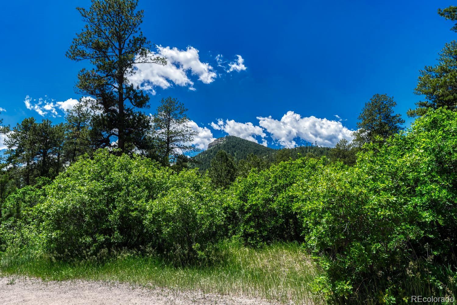 9306 South Curtis Road Larkspur, CO 80118 - Photo 48 of 50