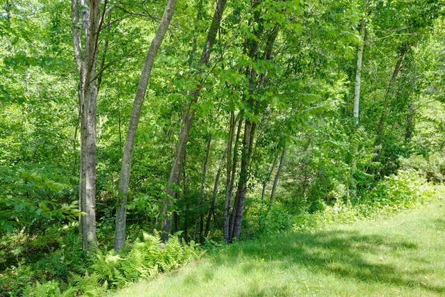 $3,150 | 89 Buttercup Lane, Unit 255, Grafton, MA 01560