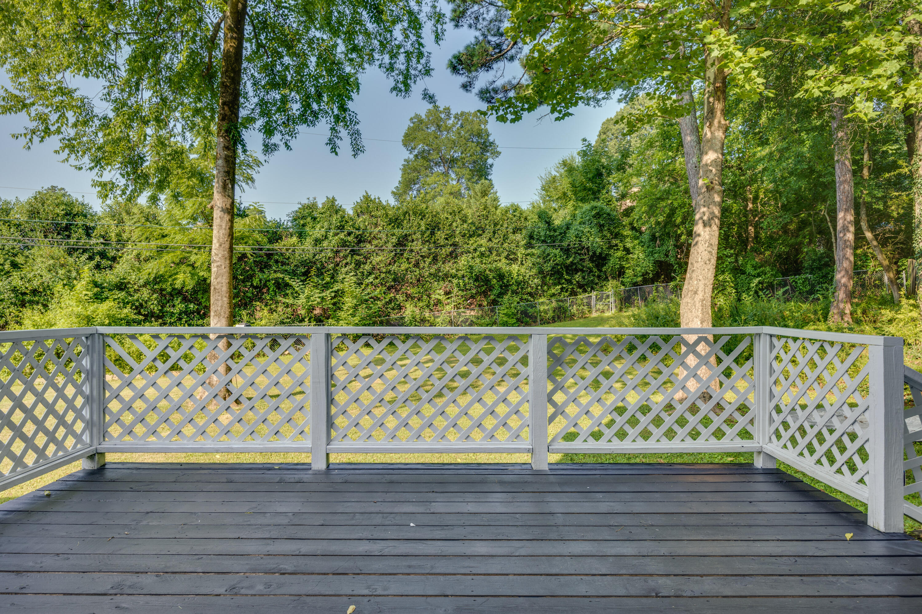 7382 Applegate Lane Chattanooga, TN 37421 - Photo 3 of 38 Back deck