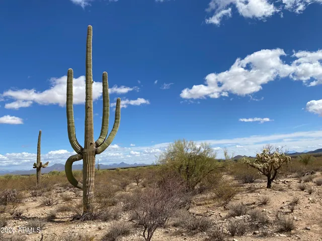 $2,420,000 | 440-acres West Manville Road, Marana, AZ 85653