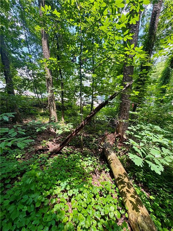 5557 Oakdale Road Southeast Mableton, GA 30126 - Photo 6 of 12