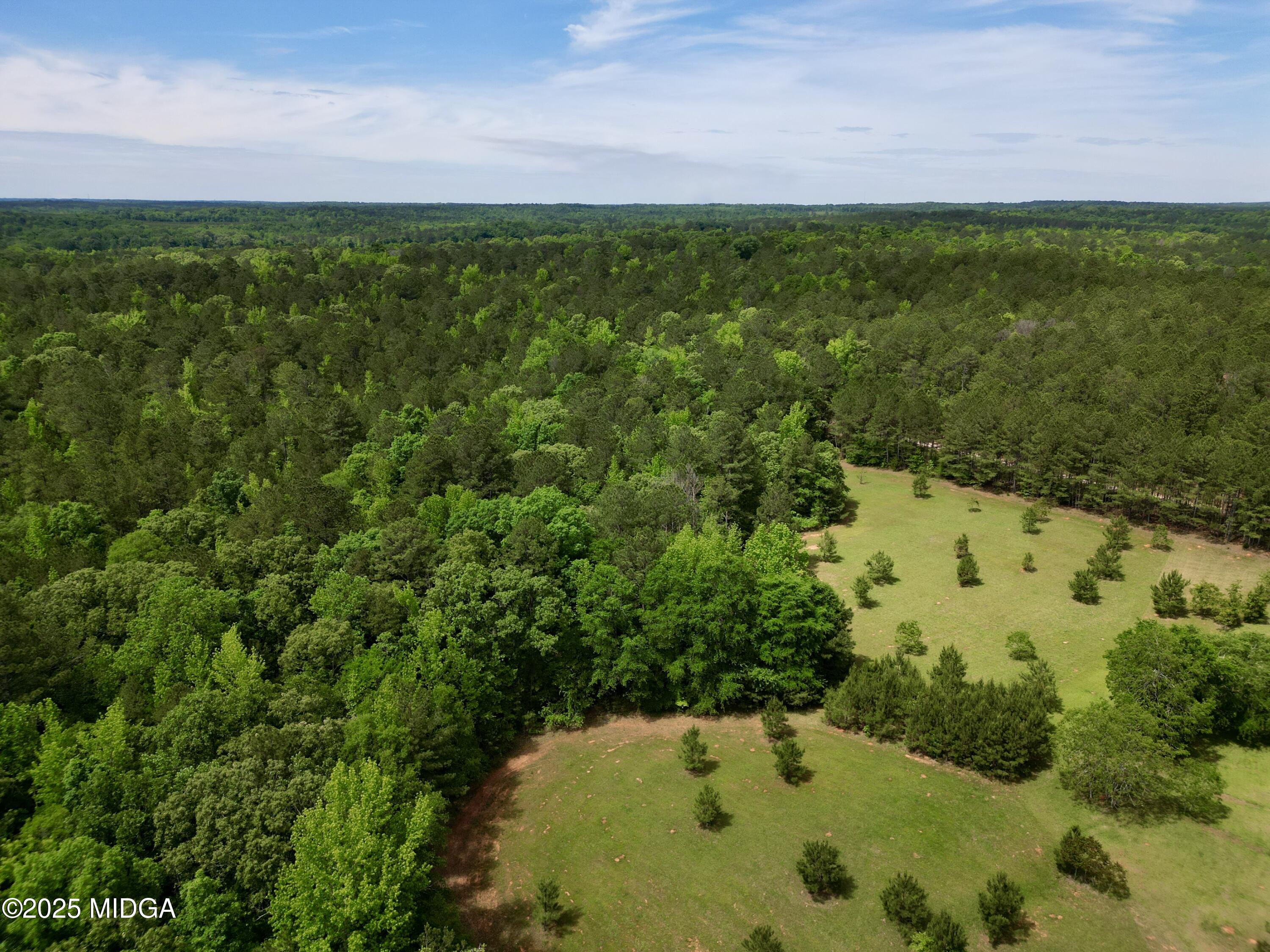 0 Samples Road Forsyth, GA 31029 - Photo 12 of 13 a view of a lush green field