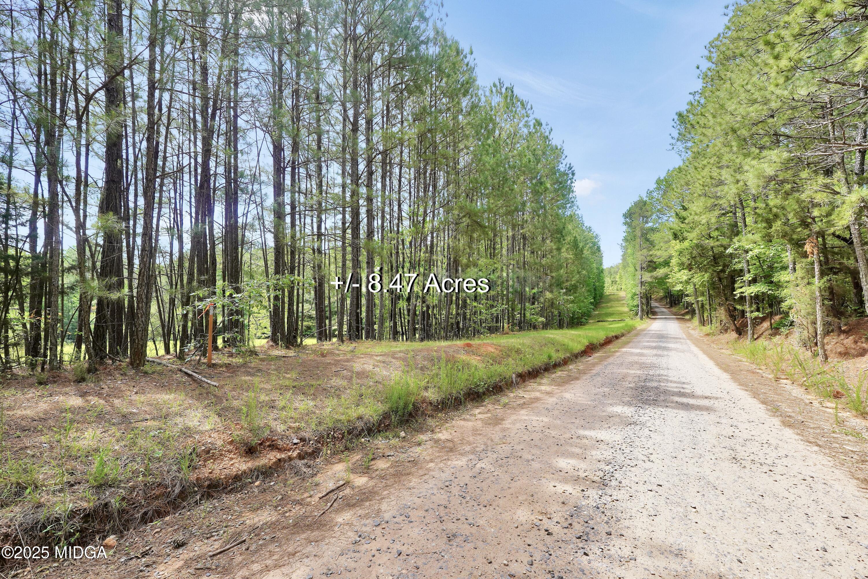 0 Samples Road Forsyth, GA 31029 - Photo 13 of 13 a view of a park with trees and flowers