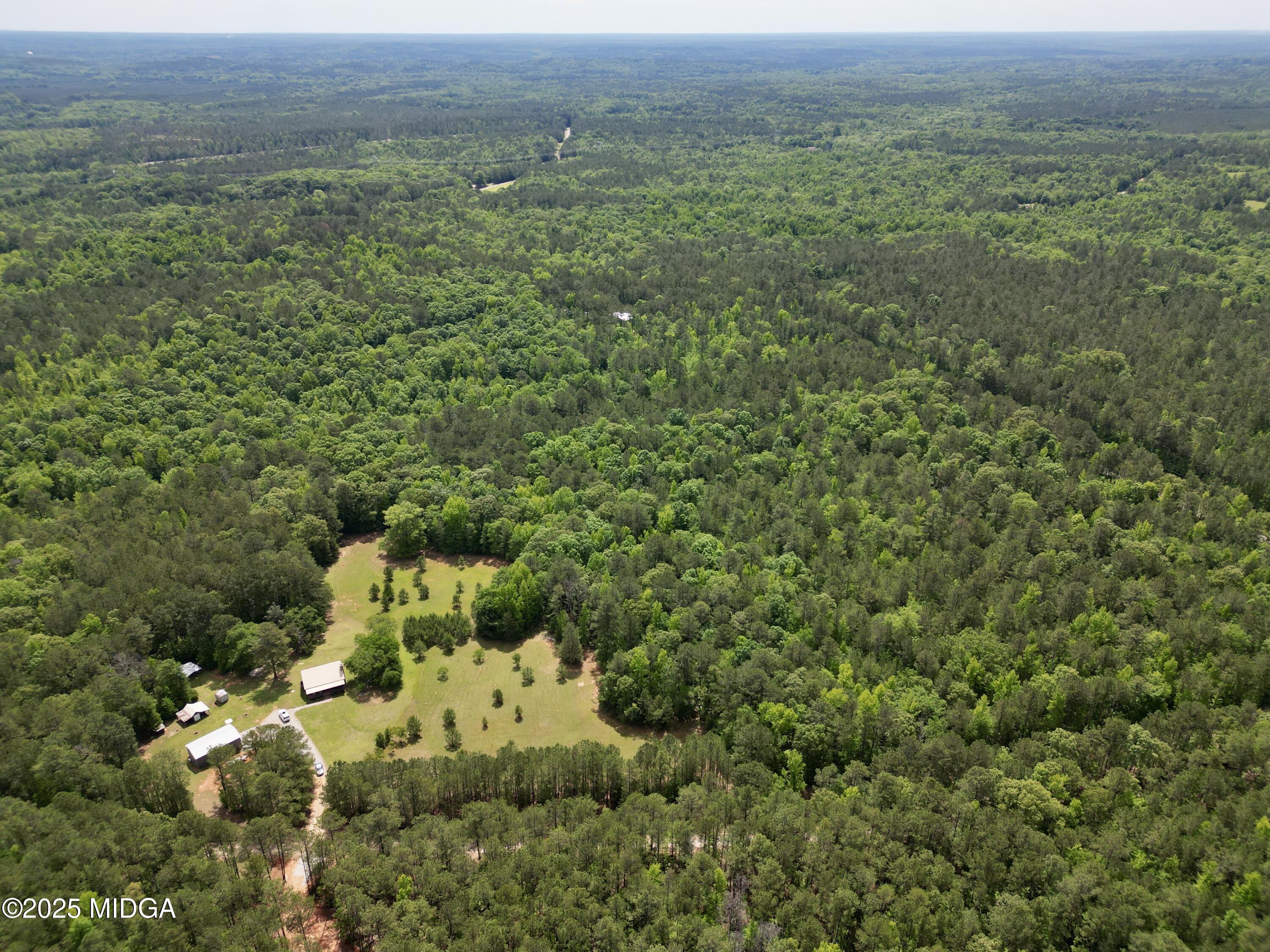 0 Samples Road Forsyth, GA 31029 - Photo 6 of 13 a view of a lush green forest with trees and some houses