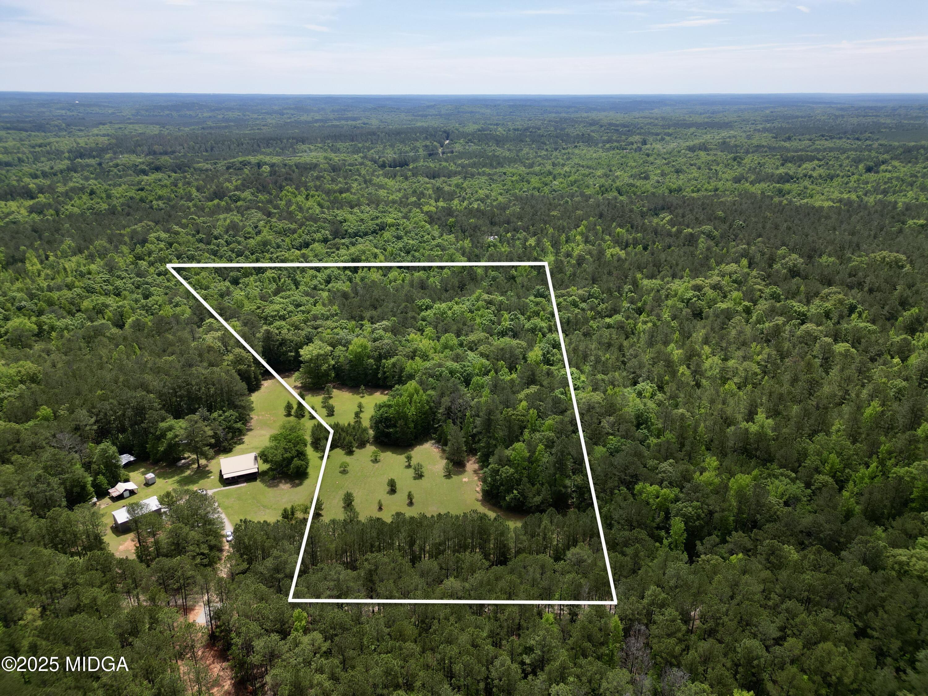 0 Samples Road Forsyth, GA 31029 - Photo 8 of 13 a view of a forest