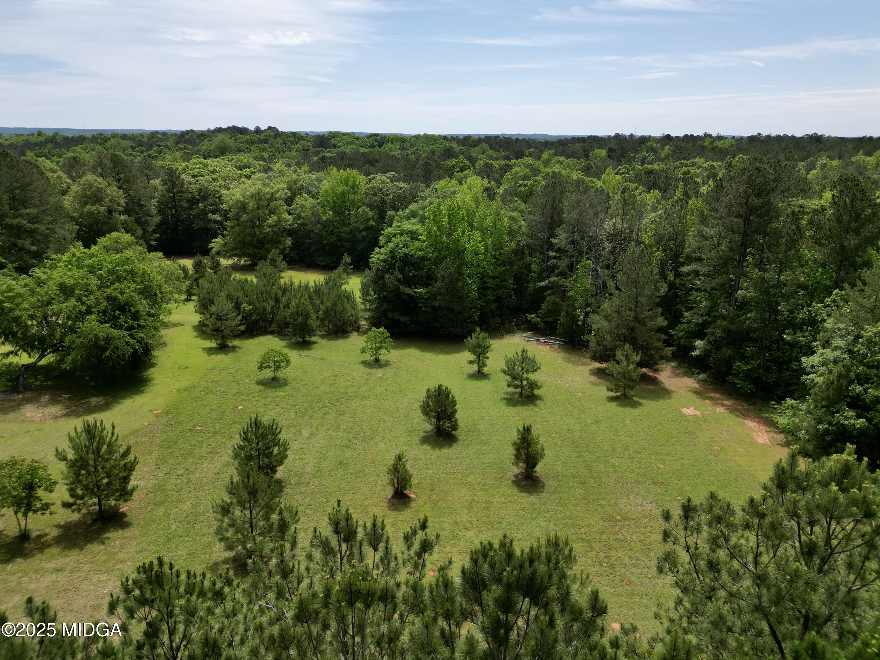 0 Samples Road Forsyth, GA 31029 - Photo 10 of 13 a view of a lake with a city