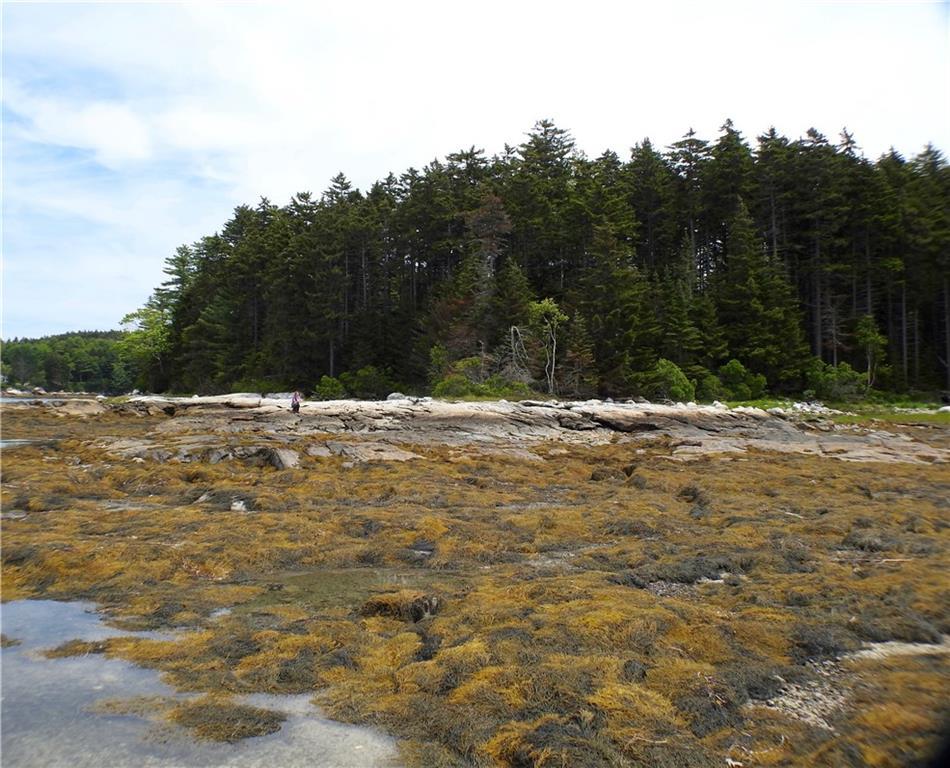 0 Eby Road Friendship, ME 04547 - Photo 9 of 31 Beautiful combination of ocean,...