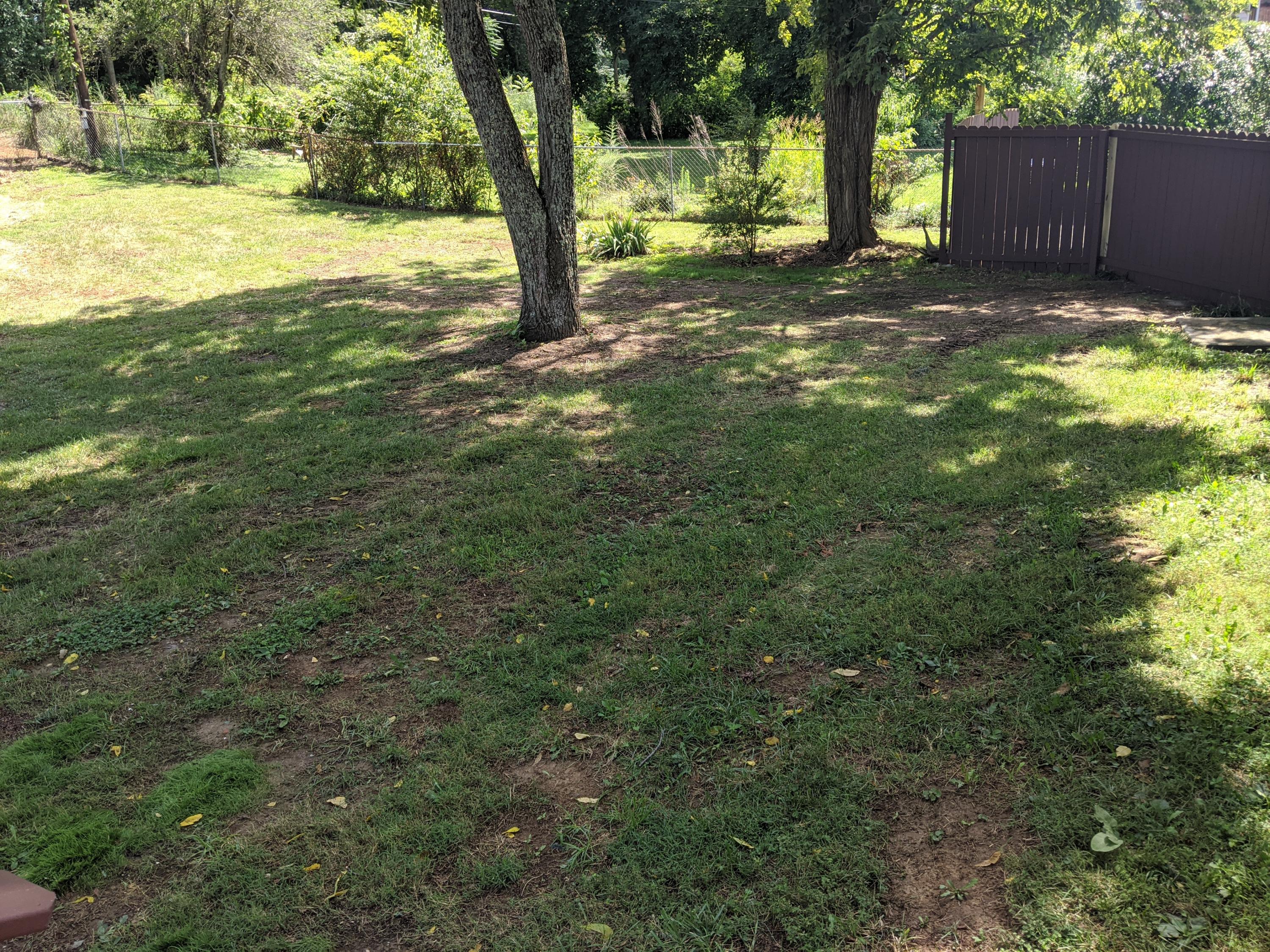 208 Hidden Acres Road Kingsport, TN 37664 - Photo 29 of 31 IMG_20200731_153501