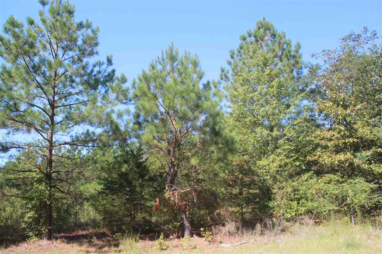 114 Brownlee Road Sarah, MS 38665 - Photo 3 of 25 Gallery Image 3