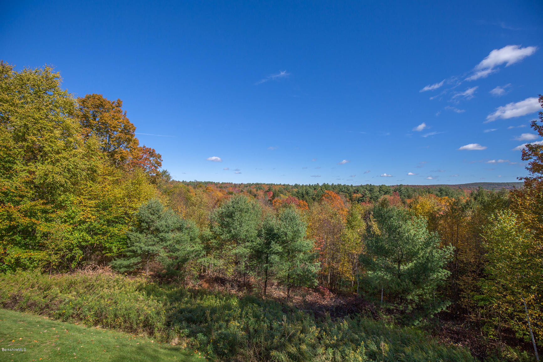 358 Harrington Road Otis, MA 01253 - Photo 40 of 52 a view of a green yard