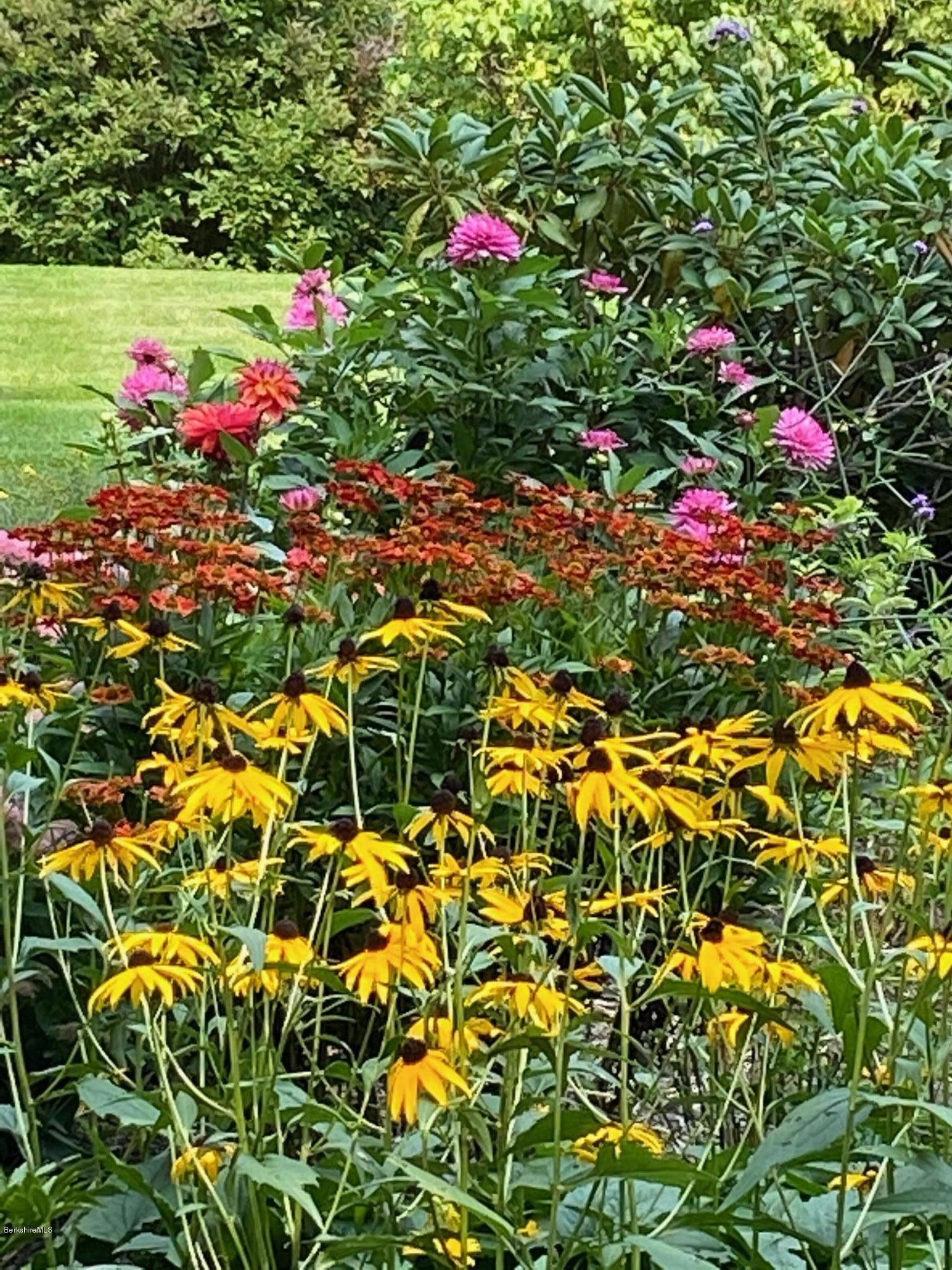 358 Harrington Road Otis, MA 01253 - Photo 43 of 52 MATURE GARDENS