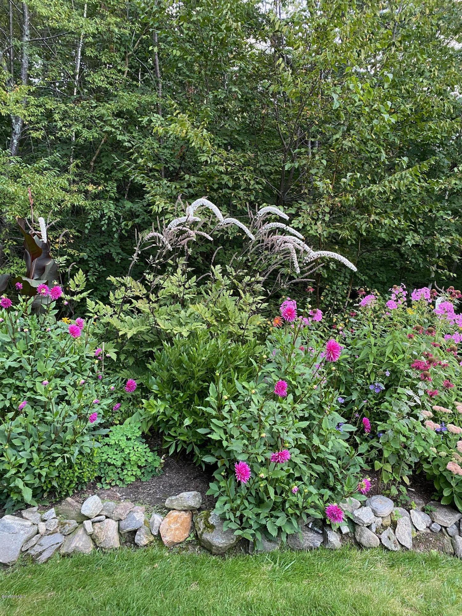 358 Harrington Road Otis, MA 01253 - Photo 44 of 52 a view of a flower garden
