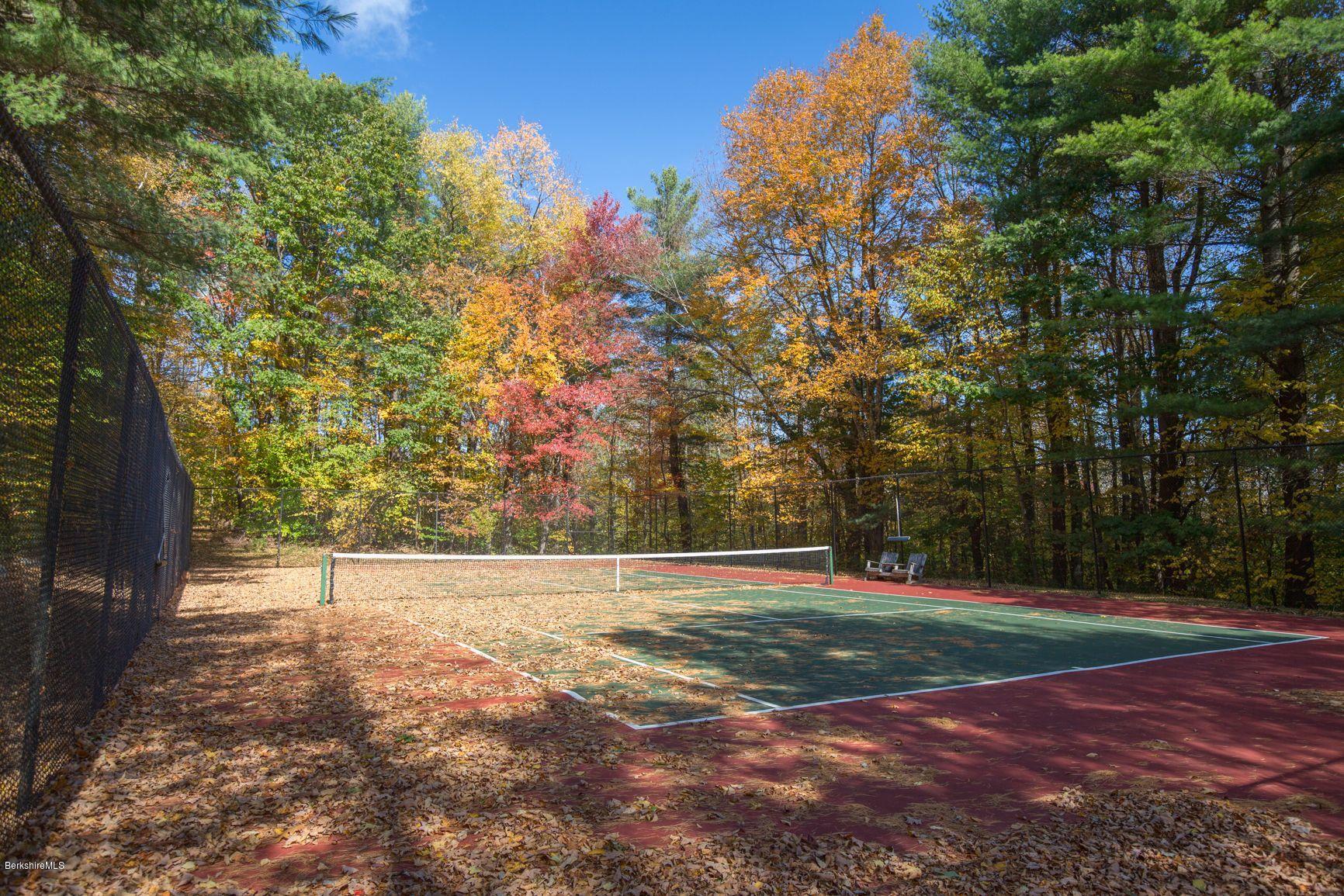 358 Harrington Road Otis, MA 01253 - Photo 50 of 52 a view of a yard with a large trees