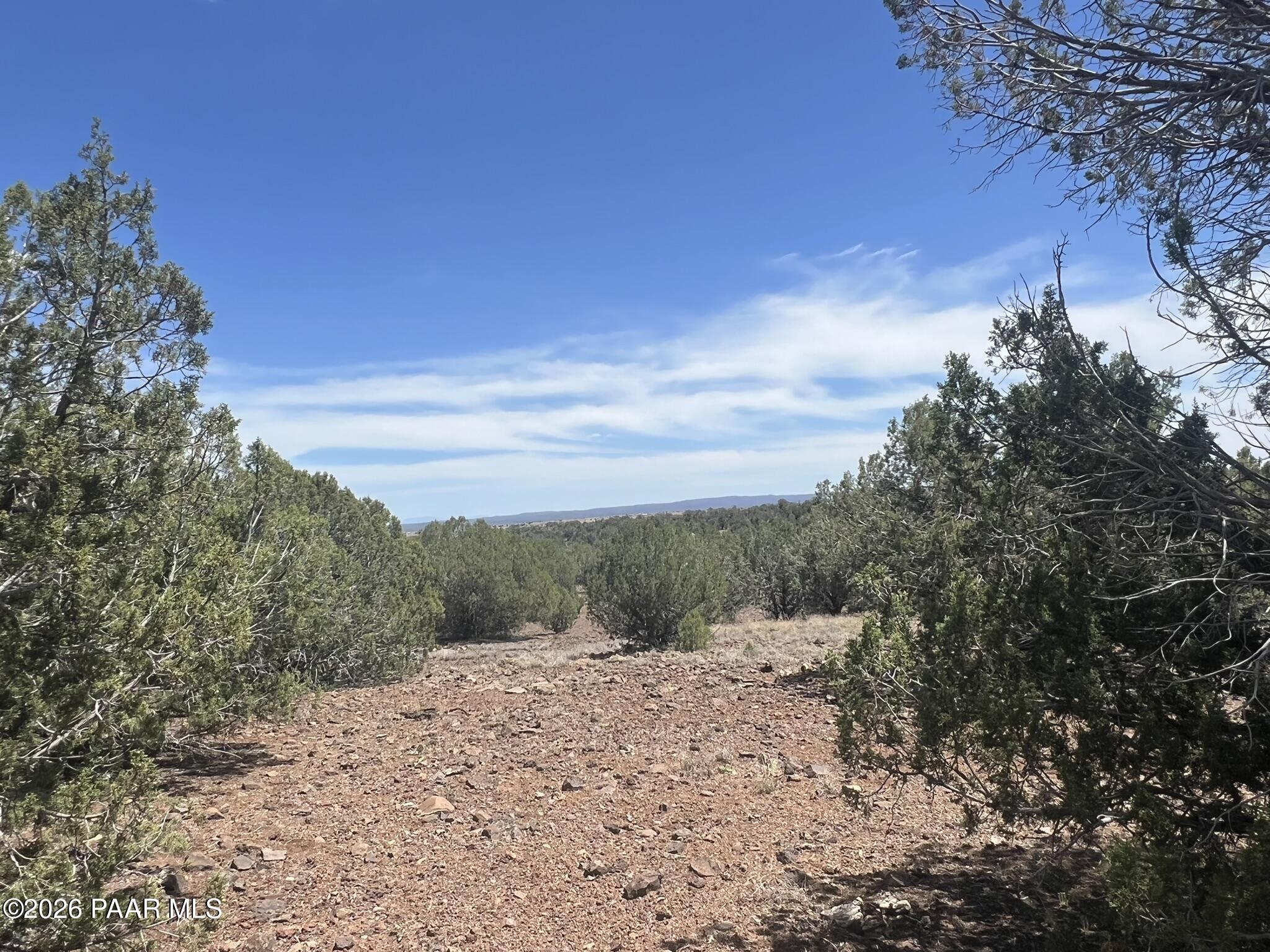 186 Gleed Station Road Ash Fork, AZ 86320 - Photo 2 of 10 IMG_0147