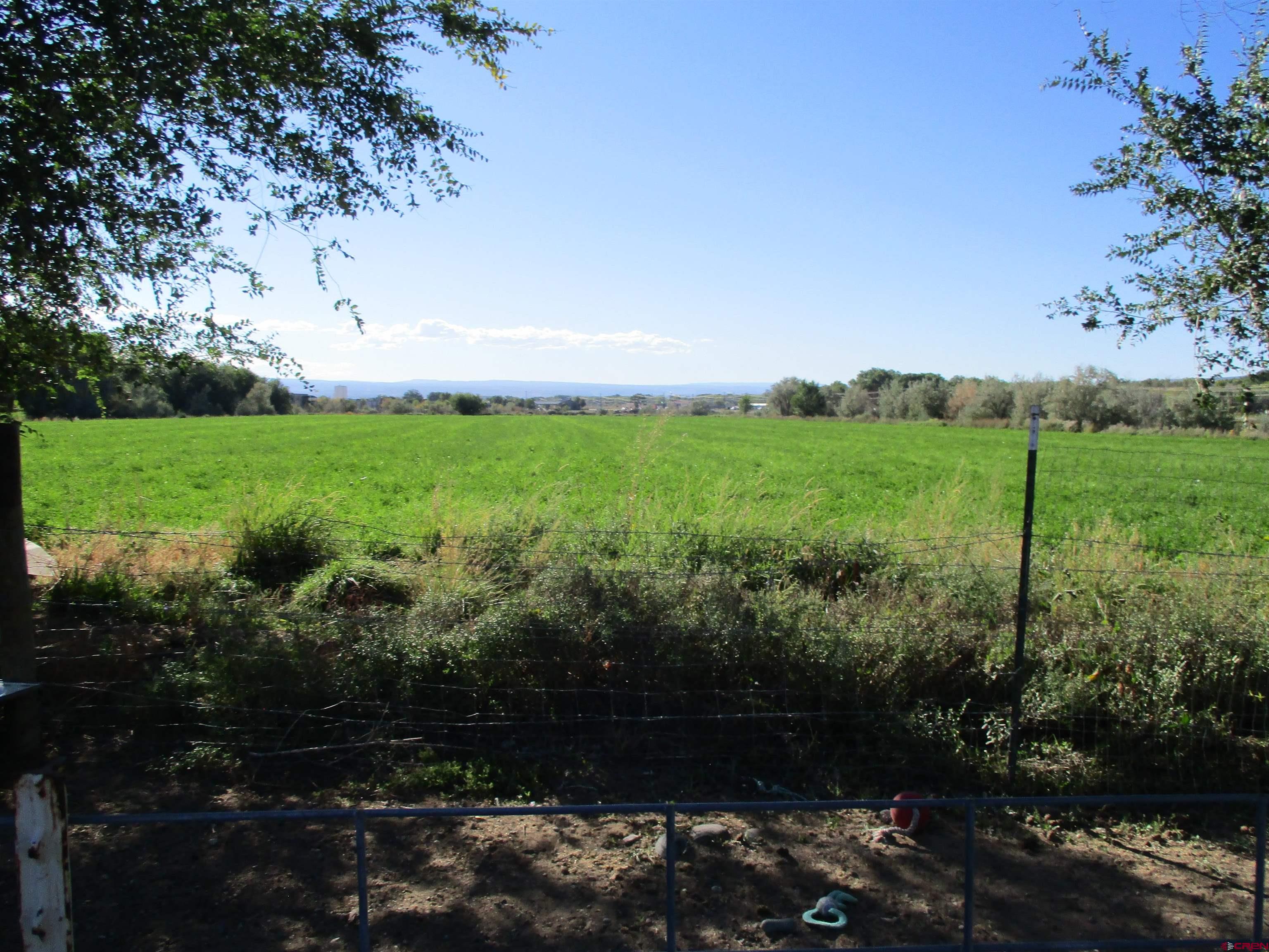 665 1725th Road Delta, CO 81416 - Photo 16 of 19 a view of a yard