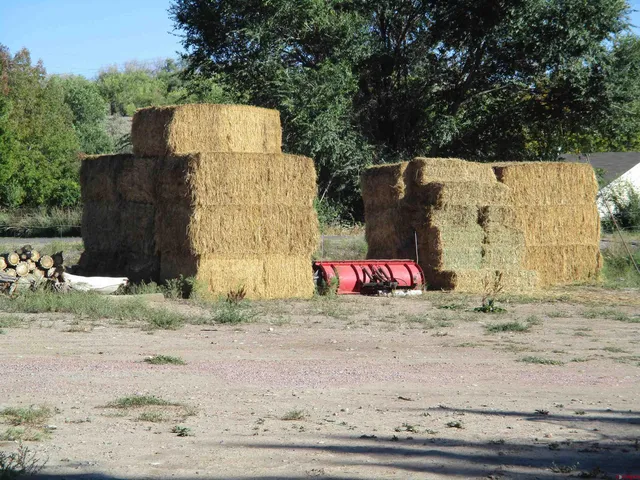 $599,234 | 665 1725th Road, Delta, CO 81416